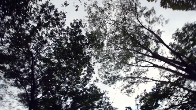 First Person Exploration