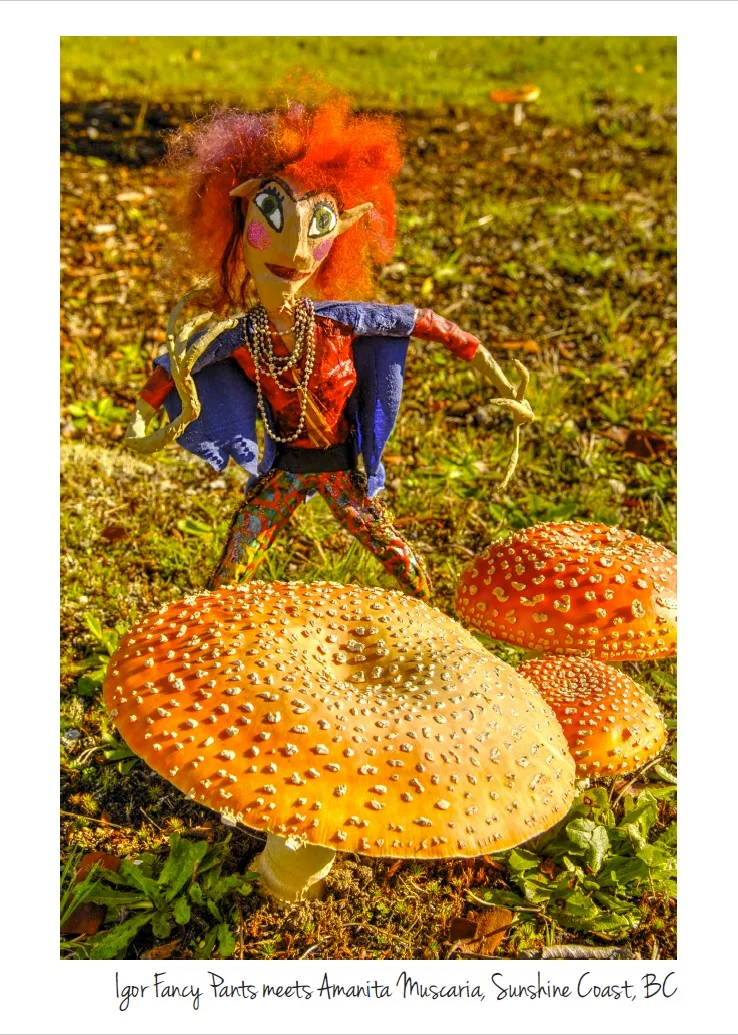 web size Igor Shroomer card.jpg