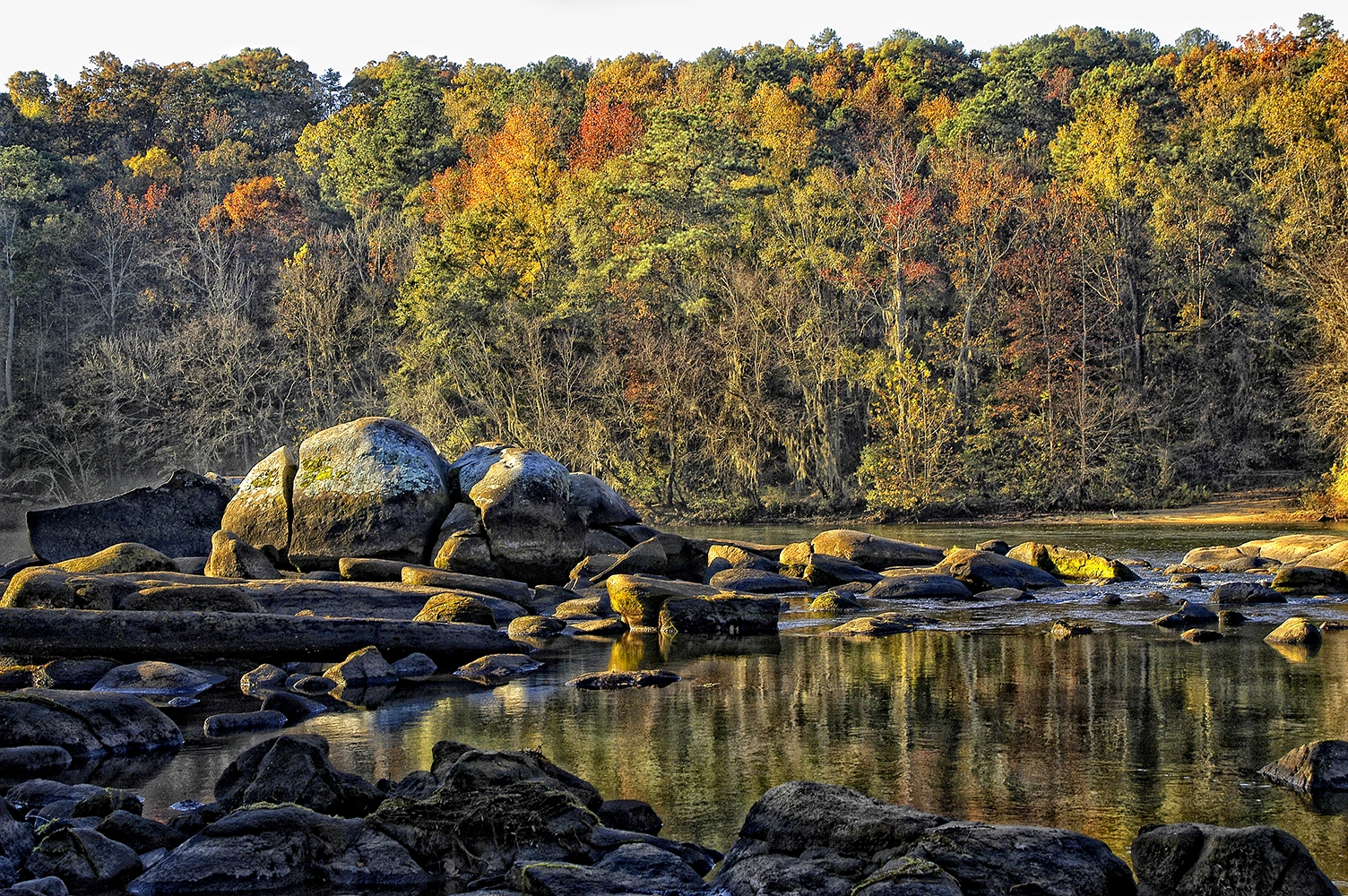 Saluda River