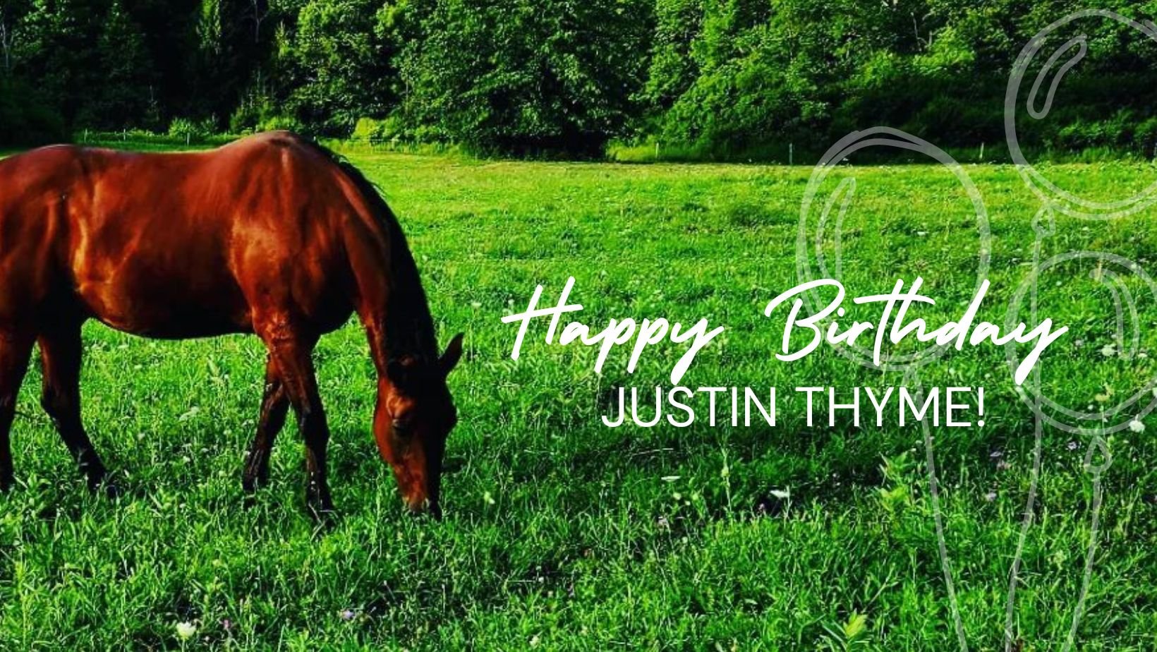 Justin Thyme is turning 24 this Thursday, May 9 🎈 We're starting the celebration a few days early with a fundraiser to help cover the costs of his care for the coming months. Consider donating $24 to celebrate his 24 years! Link in our bio ❤️