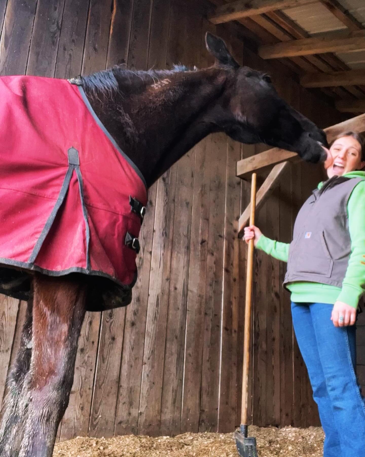 Thank you Maeve!! Have a super summer! Maeve one of our fabulous volunteers who just finished her last final exam yesterday is headed home for the summer! She volunteered regularly and many times a week with barn chores! Maeve was such an incredible 
