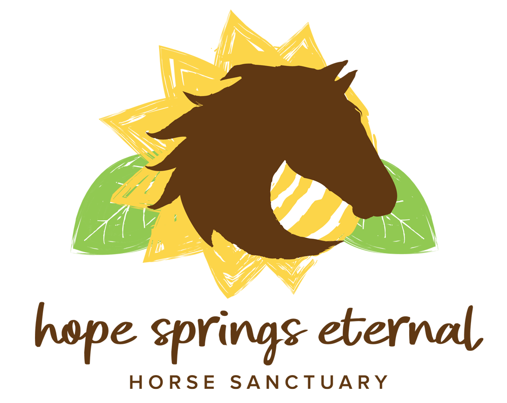 Hope Springs Eternal Horse Sanctuary