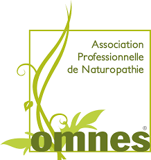 logo omnes.png