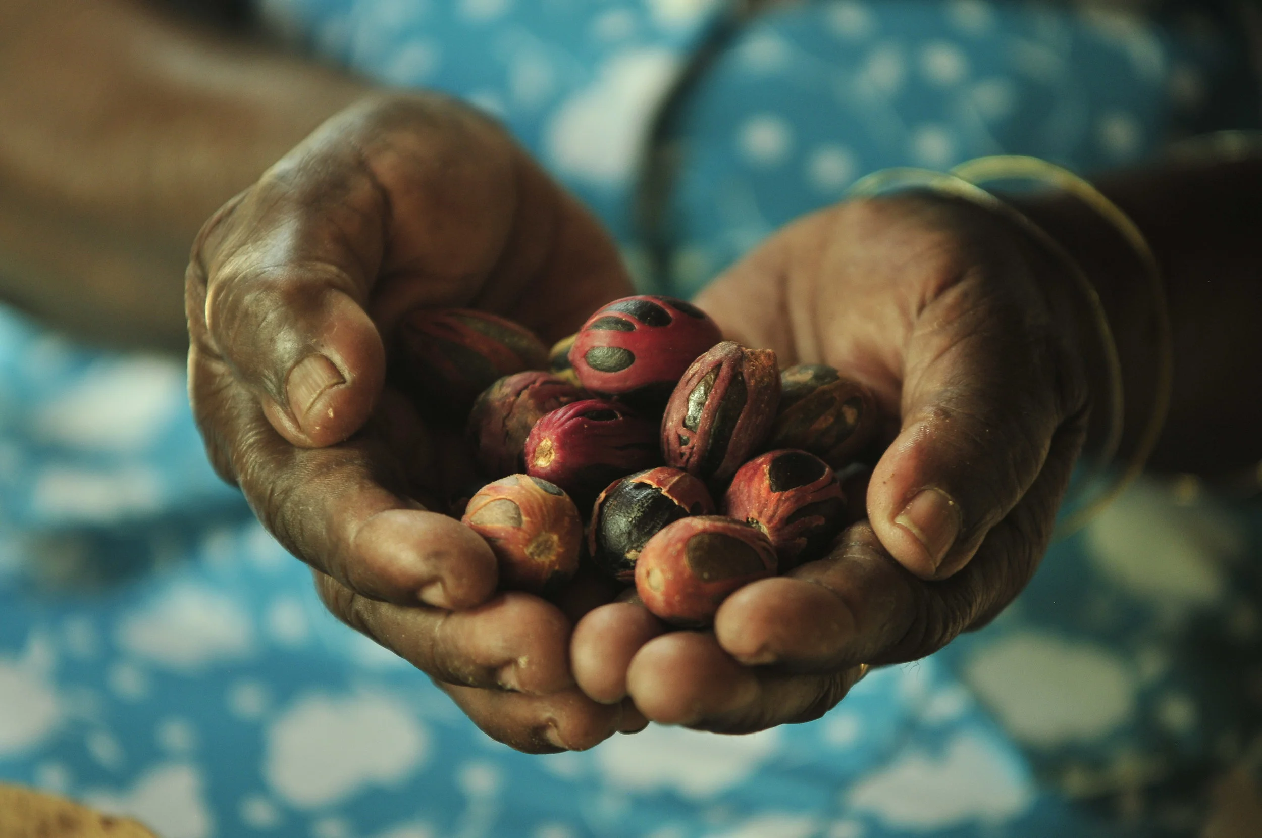 The Last of the Nutmeg Women