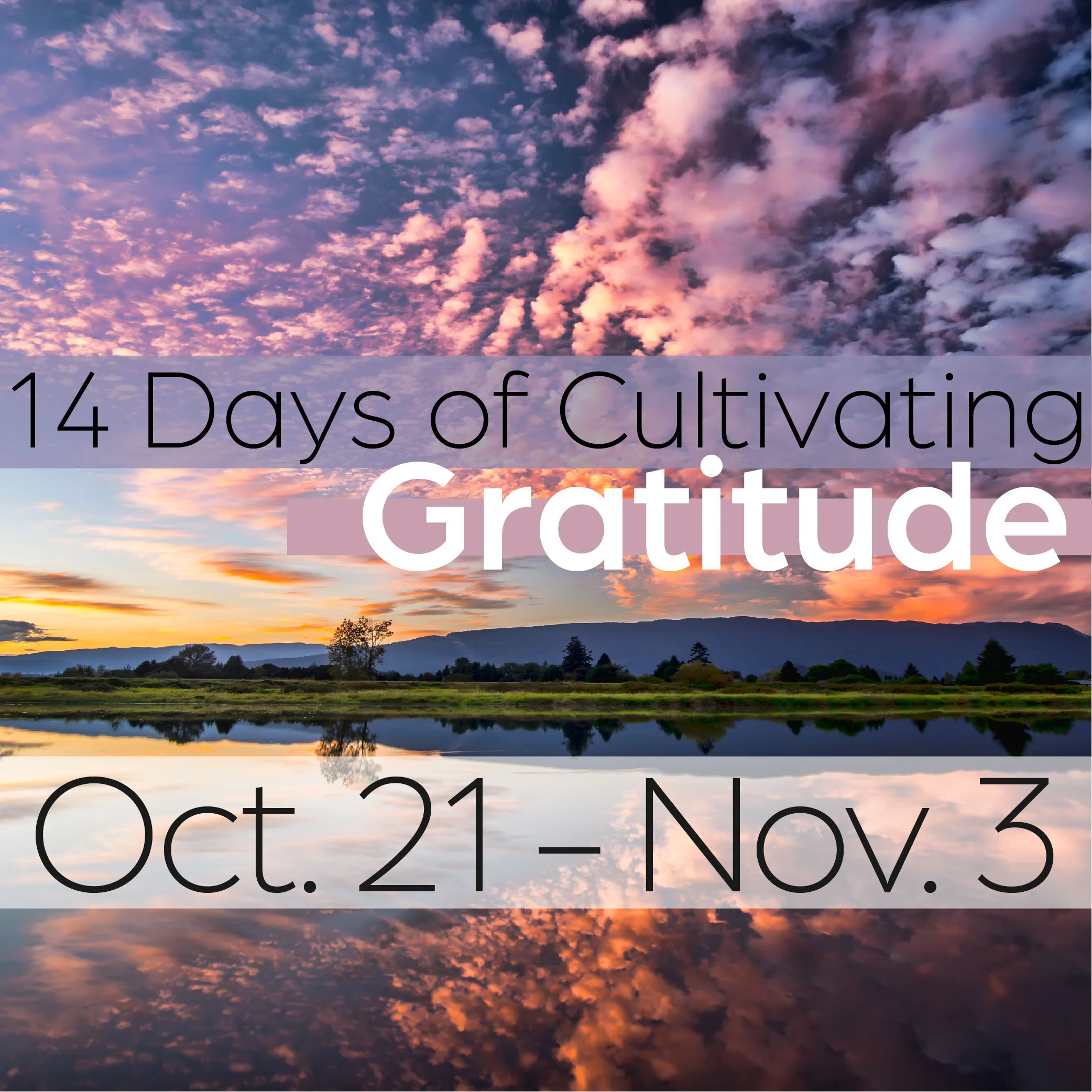 14 Days of Cultivating Gratitude - Eventbrite-01.jpg