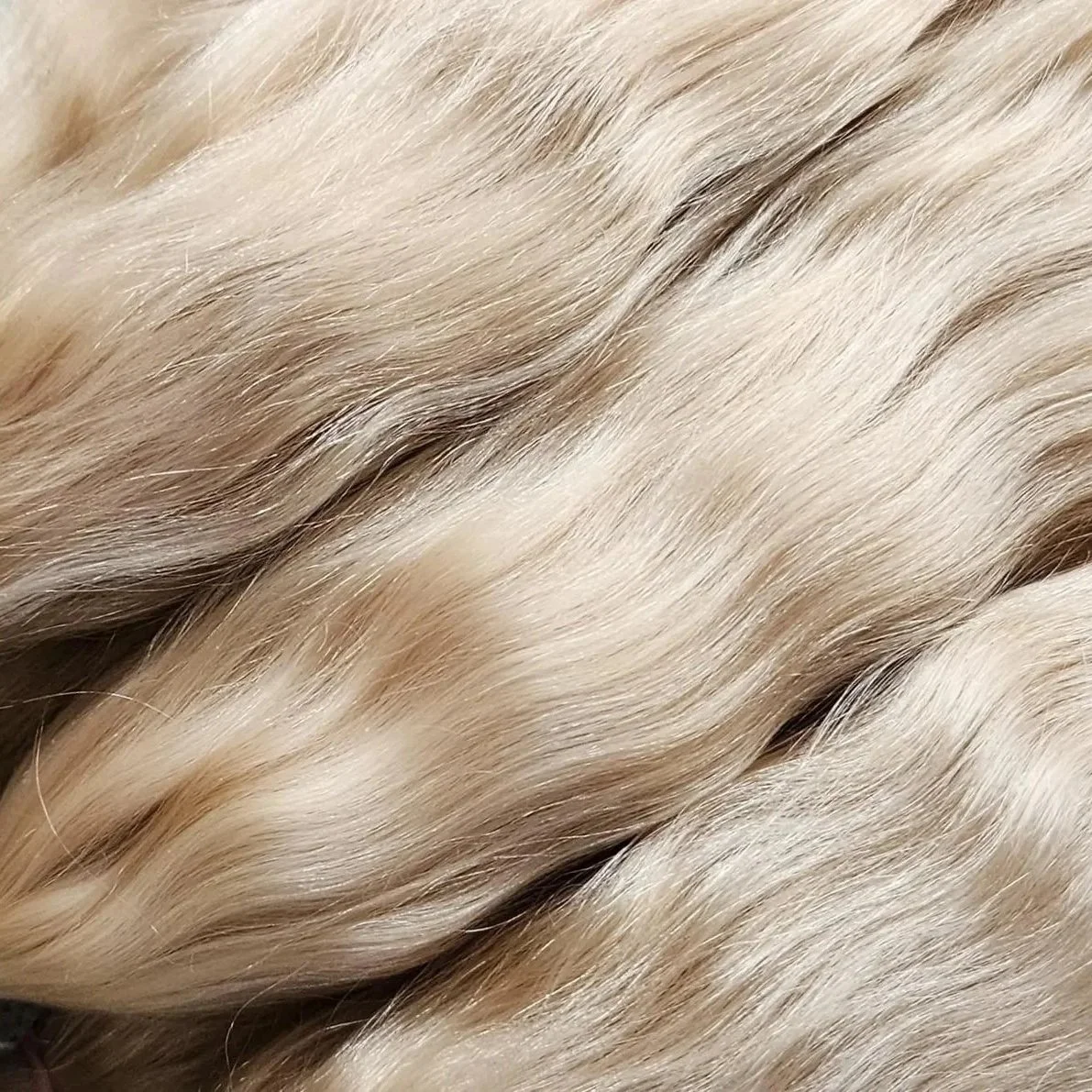 Goat mohair hair locks for doll making