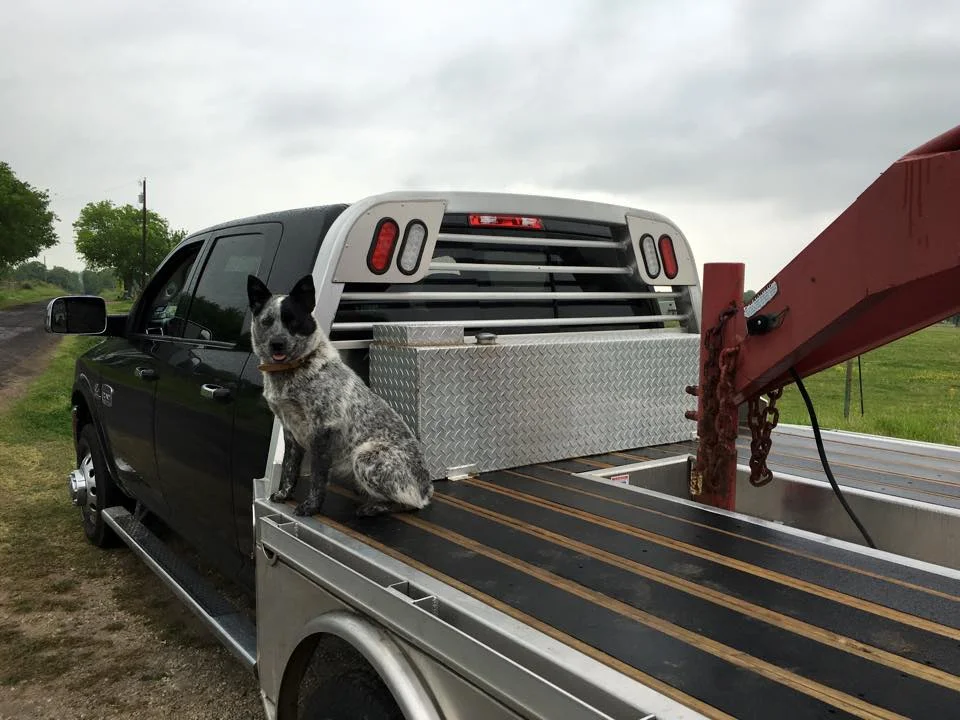 Blackwood — Industrial Wood Technology