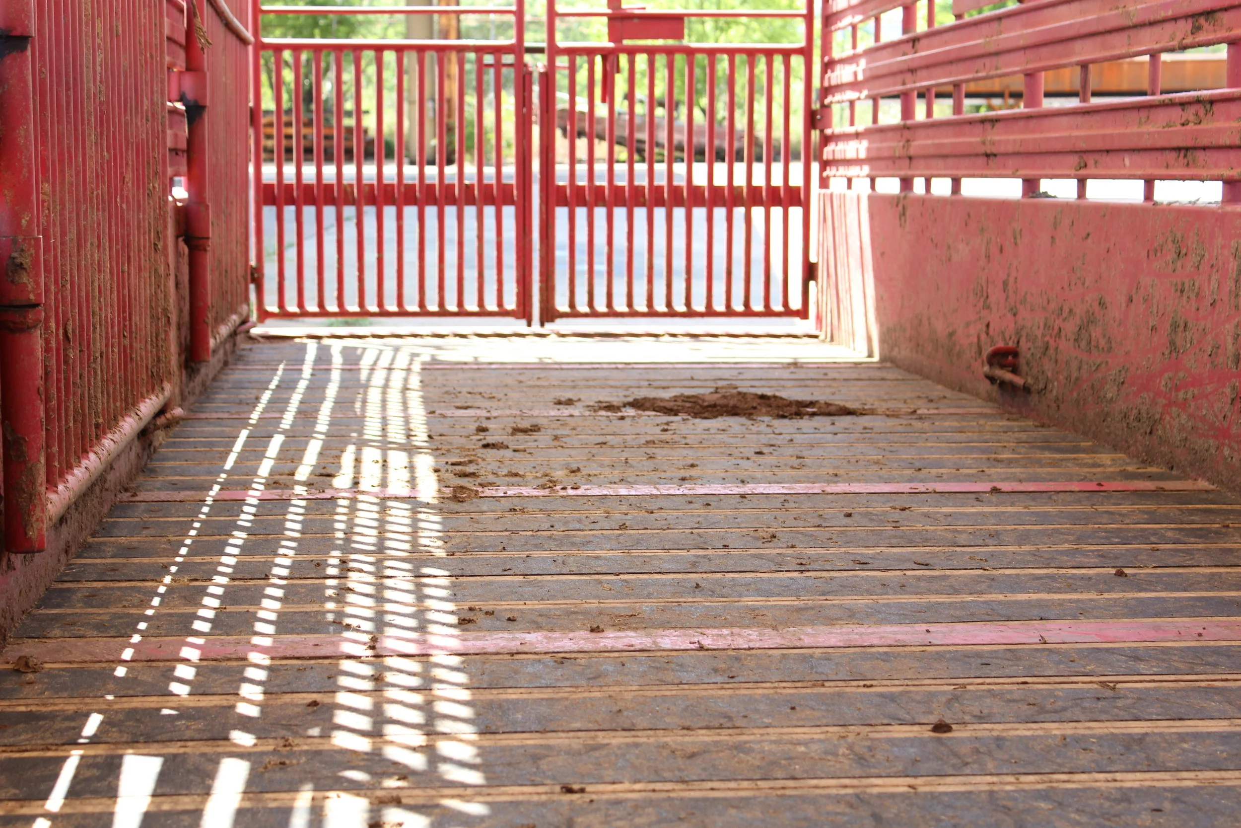 Blackwood — Industrial Wood Technology