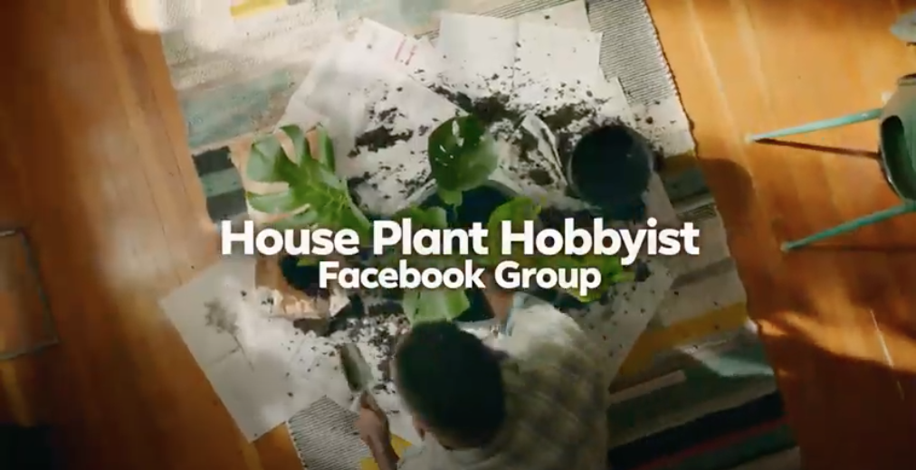 Facebook Groups TV Commercial, 'House Plant Hobbyist'