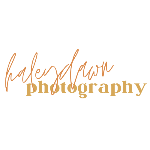 HaleyDawn Photography 
