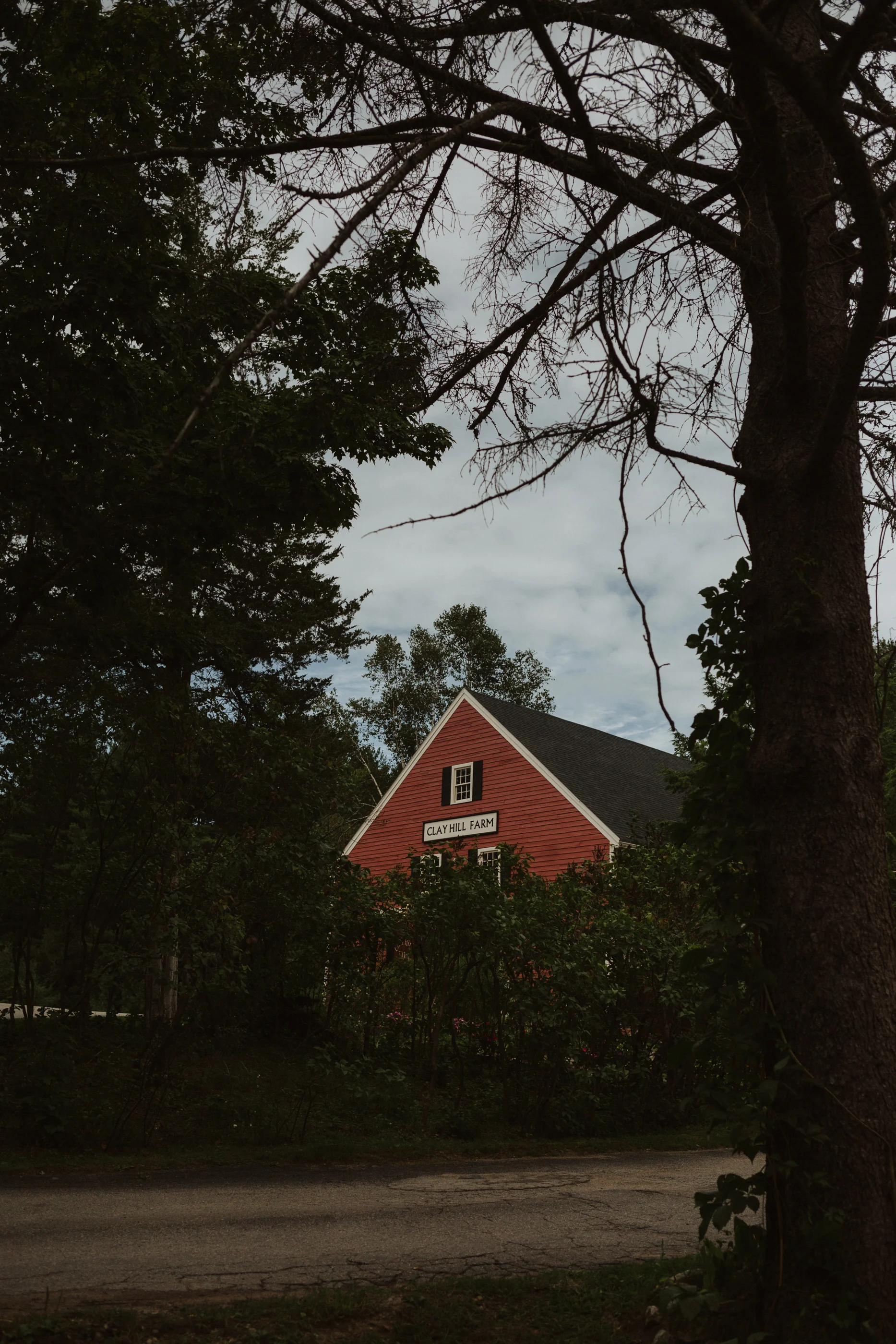 _GH_3349.jpg