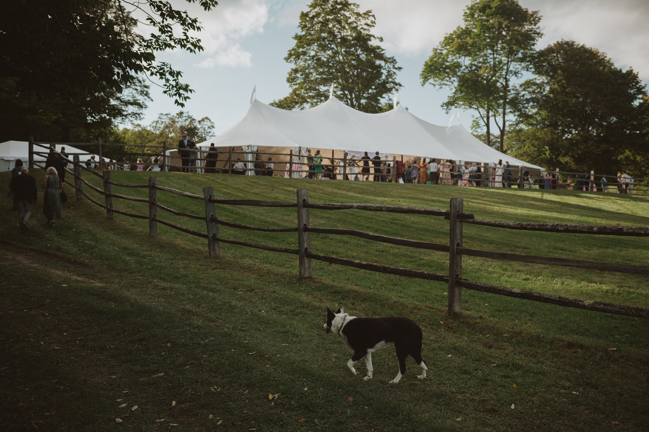 Annie+John_WestwindsFarm-43.jpg