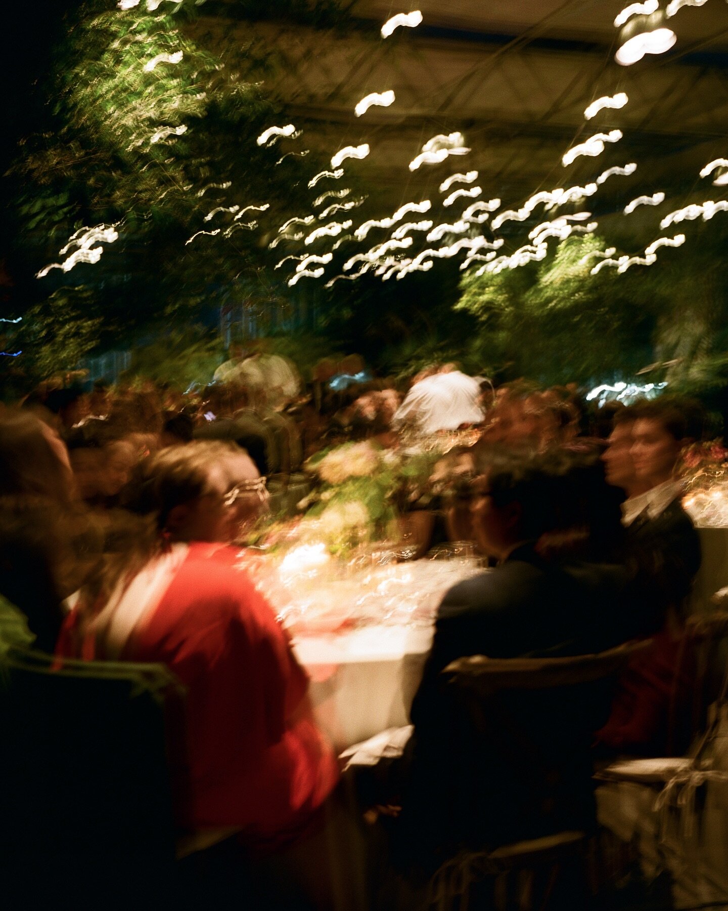 Katrina and Kevin&rsquo;s cozy nighttime reception dinner among the plants in the Roger Williams Botanical Garden.