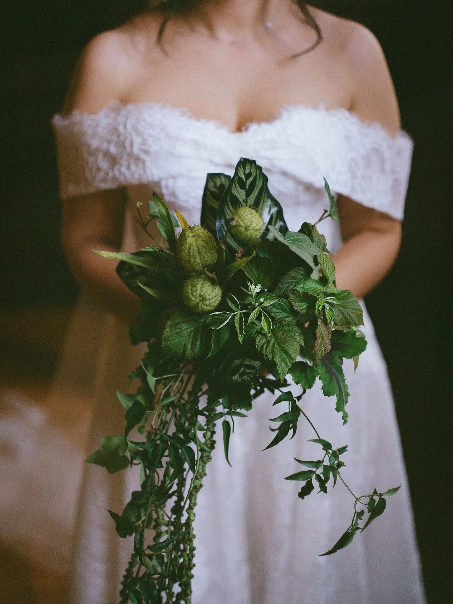 Brooke last fall with her bouquet of green 💚 

Floral Design: @absuna__ 
Planning + Design: @maddenmadeevents 
Venue: @providencepubliclibrary 
Catering: @pplbymorins 
Dress: @lelitebridal 
Beauty: @ali_lomazzo_beauty