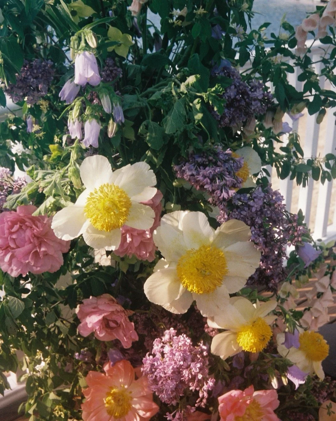 This spring we had to say goodbye to our sweet kitty boy Burgess after 14 years together, and since then we&rsquo;ve found so much comfort in jumping into gardening and planting flowers in our tiny rental backyard. While we eagerly wait for our vario