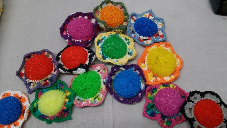 foldout_cat_scrubbies.jpg
