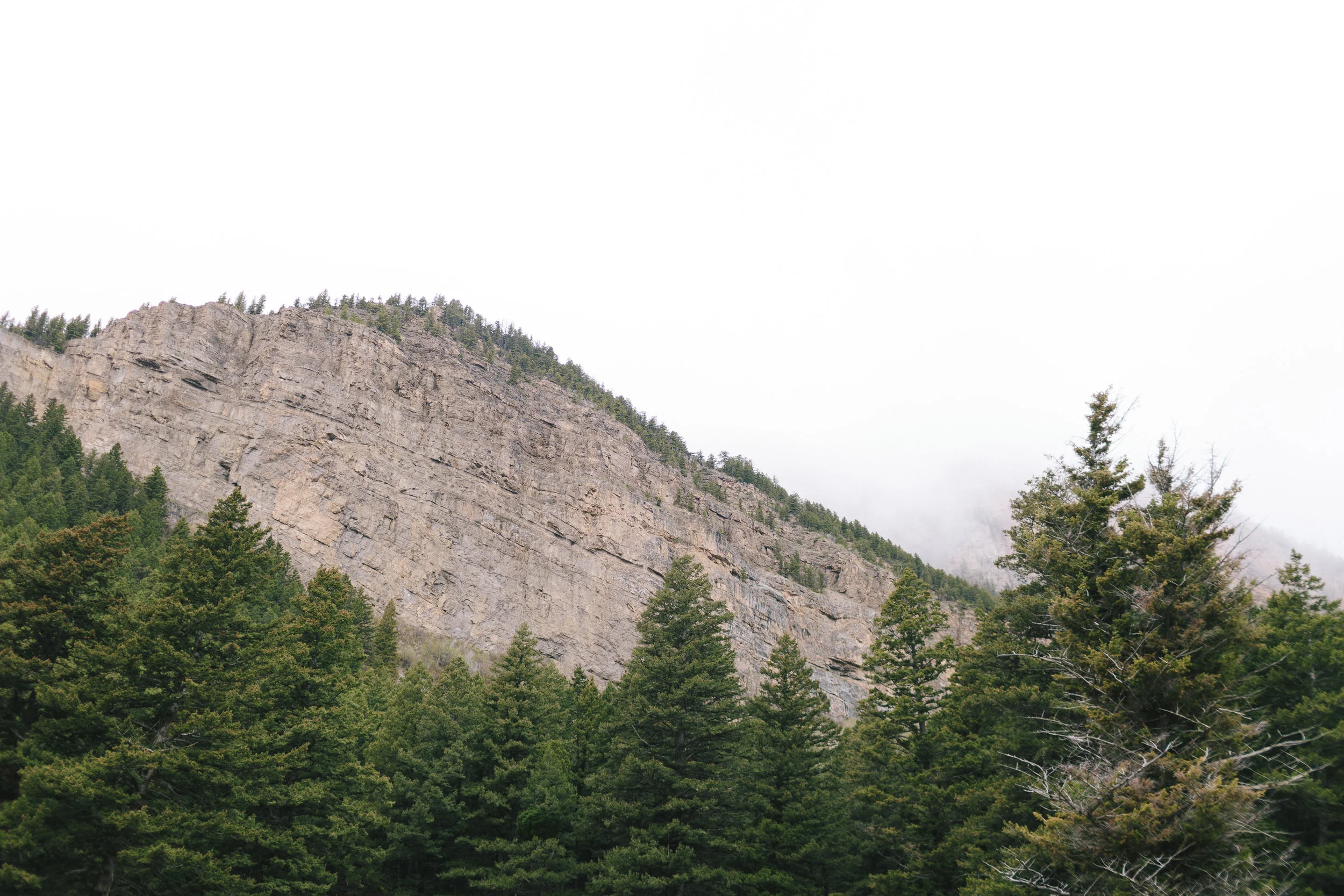 20190521_ku_e6_montana_2M1A3883.jpg