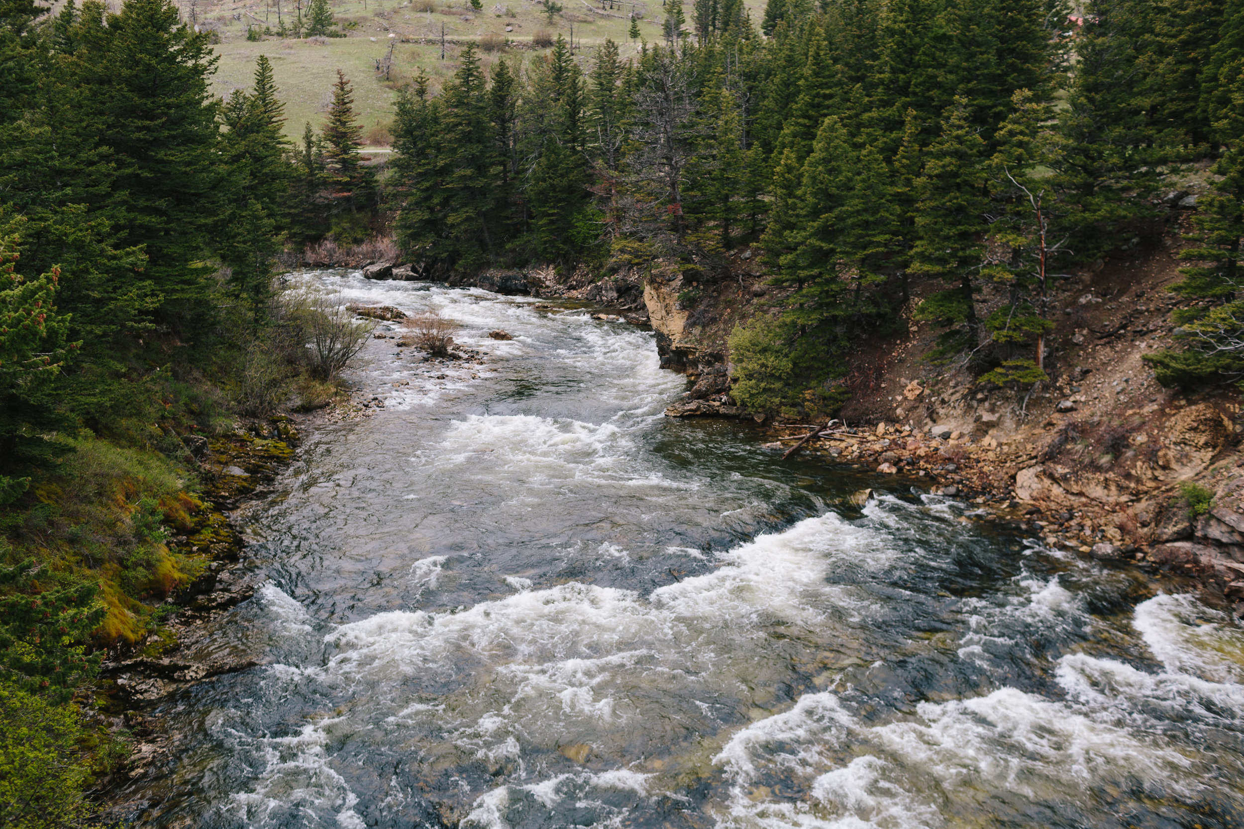 20190521_ku_e6_montana_2M1A4124.jpg