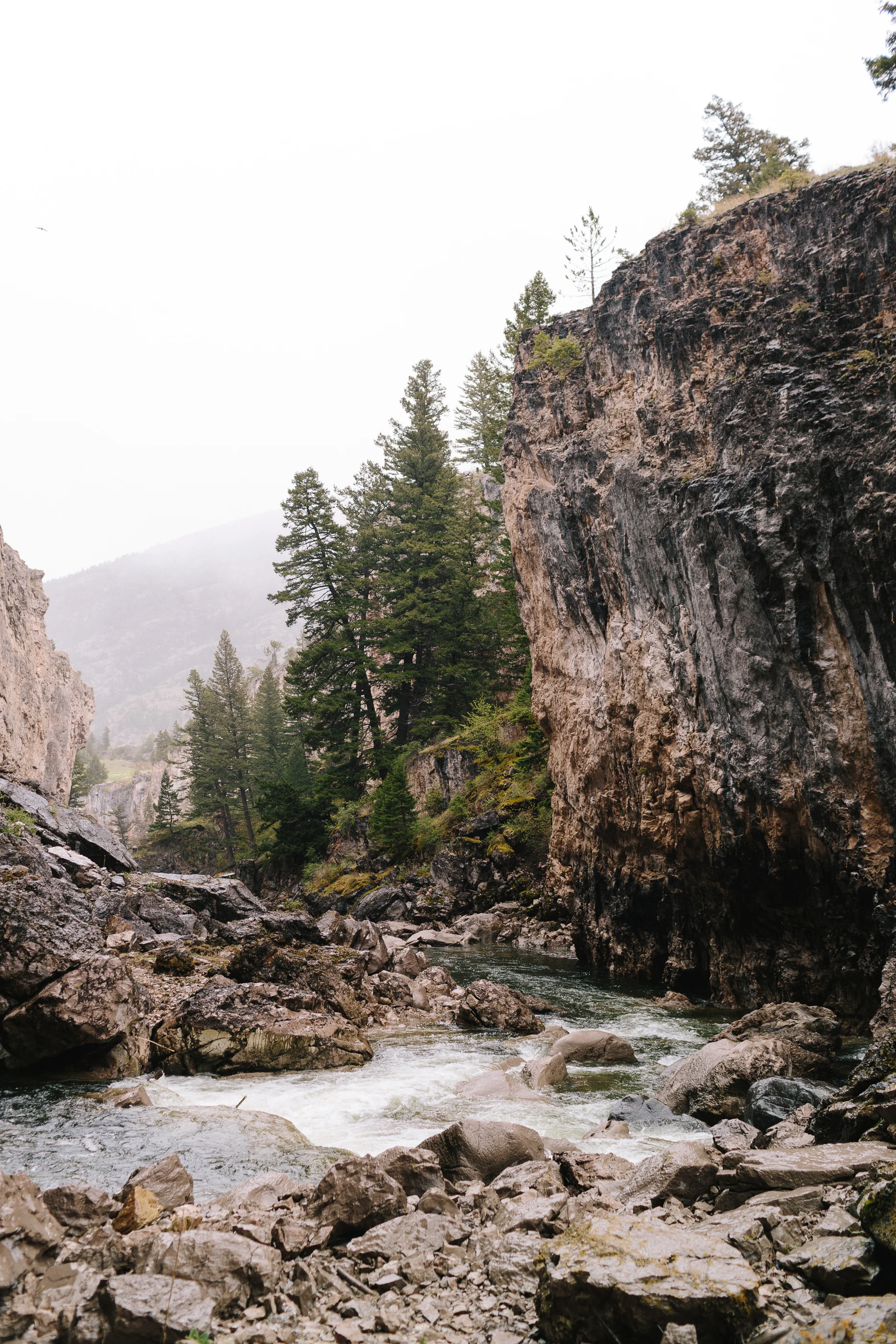 20190521_ku_e6_montana_2M1A4472.jpg