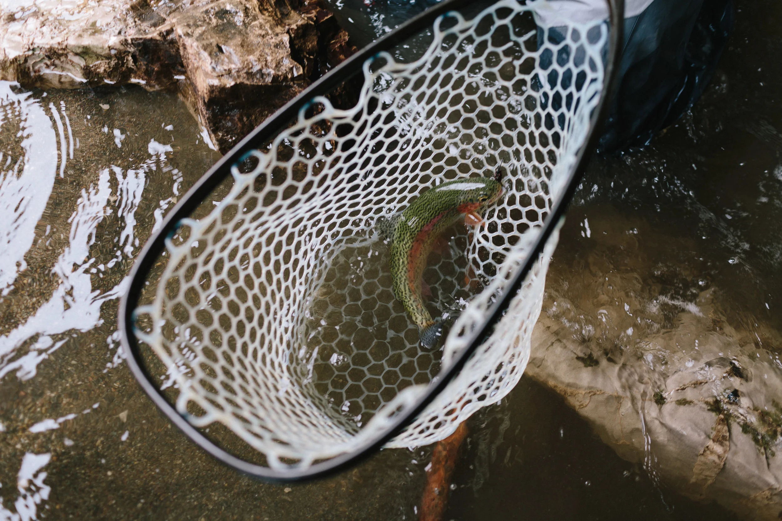 20190521_ku_e6_montana_2M1A4512.jpg
