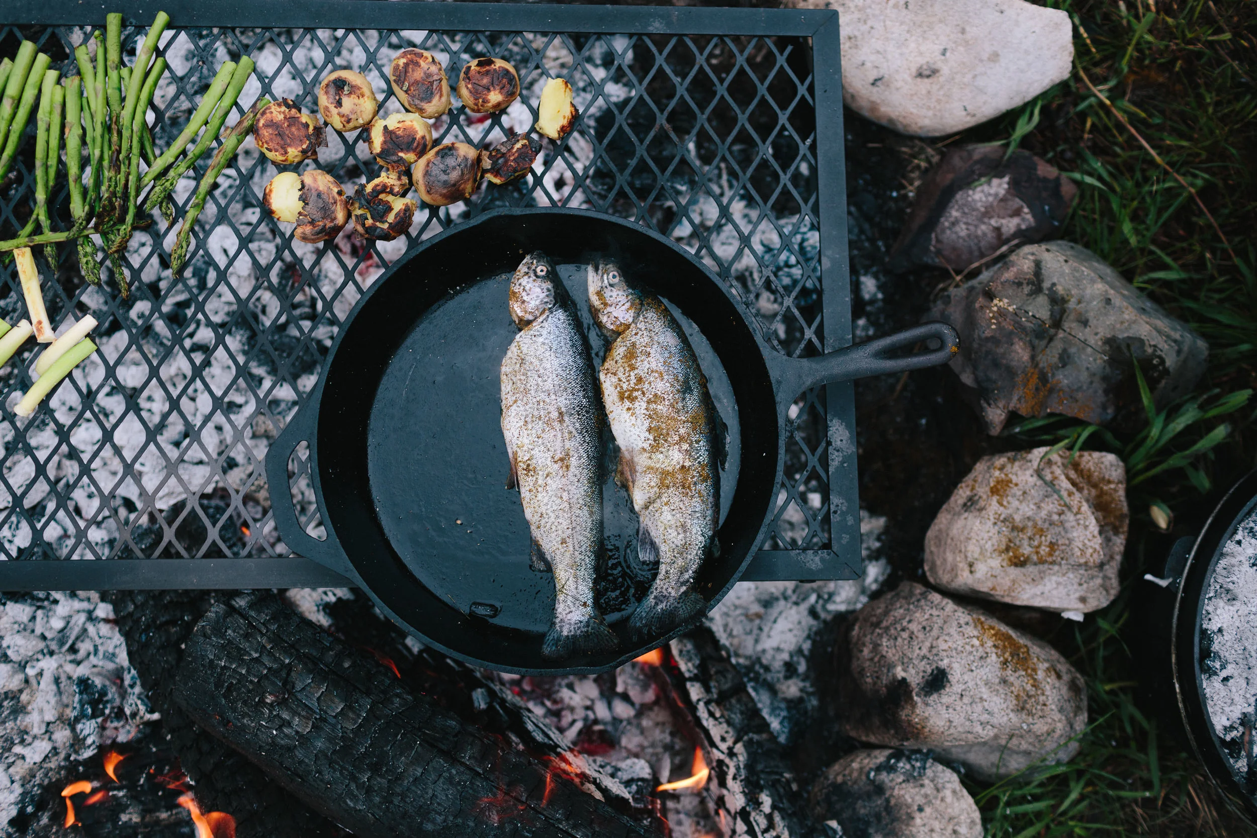 20190521_ku_e6_montana_2M1A5011.jpg