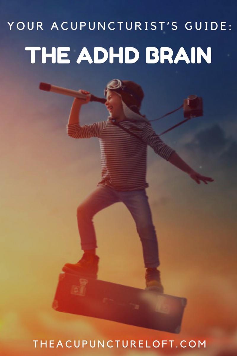 Your Acupuncturist's Guide: Part 1 - The ADHD brain