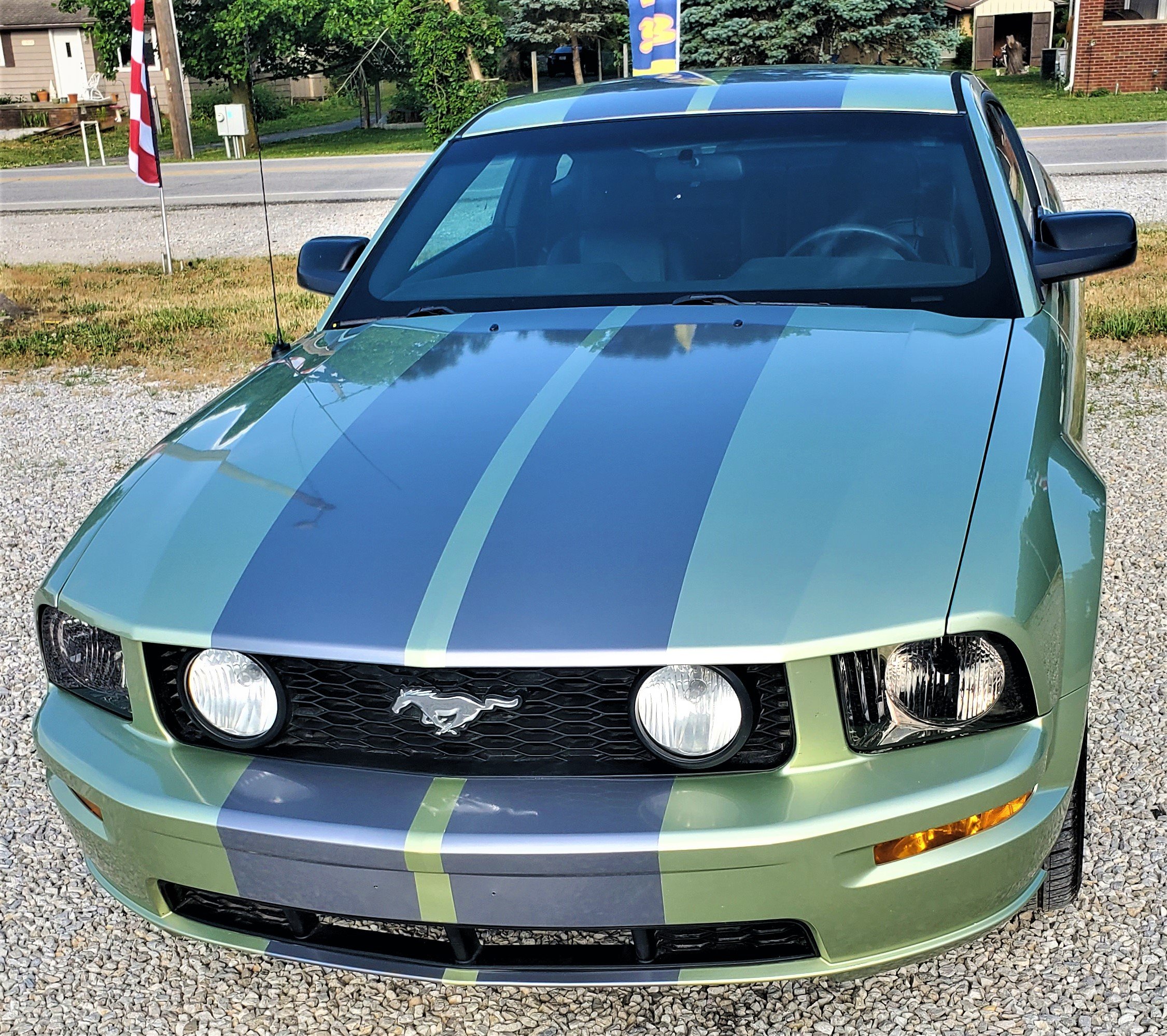 Ford Mustang Custom Stripes