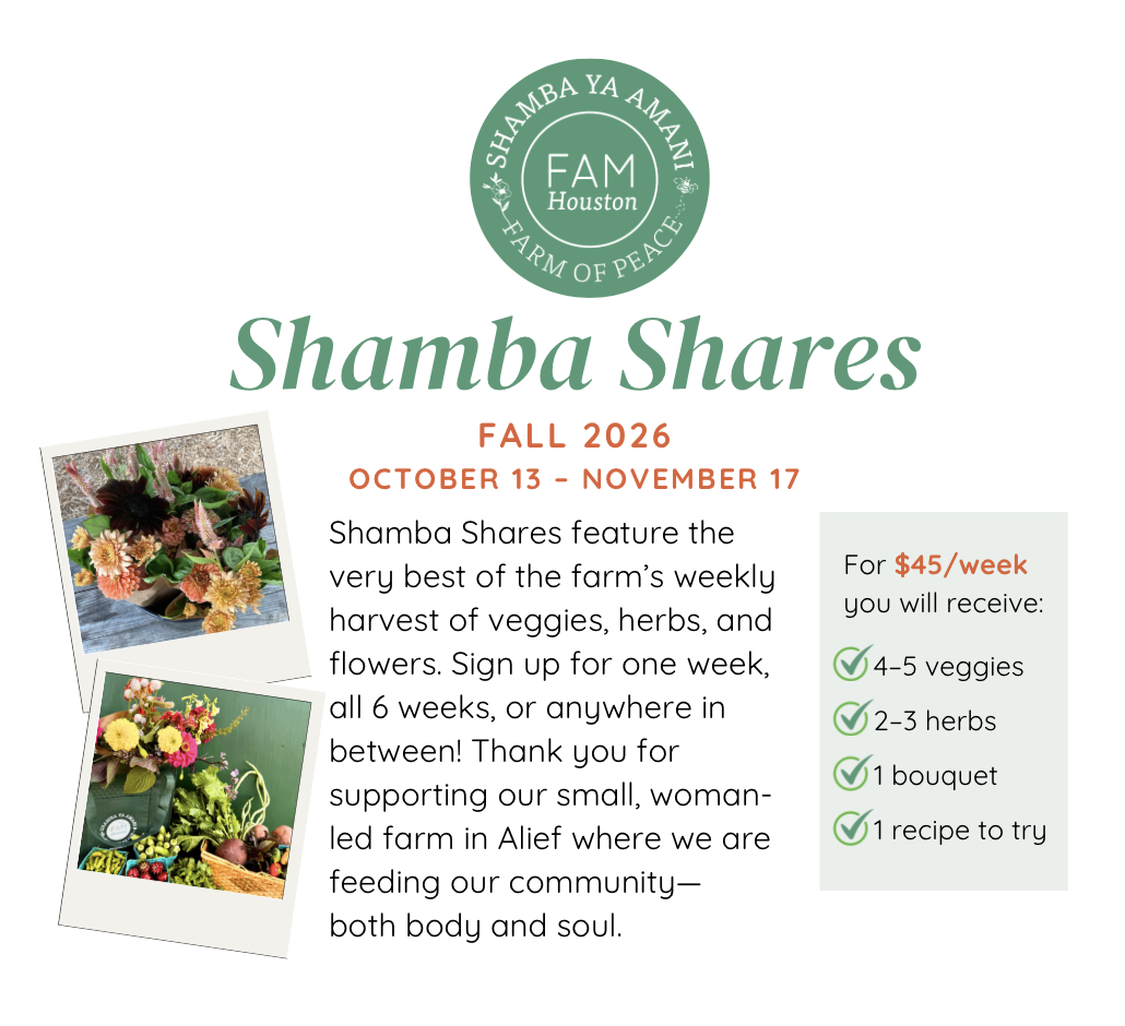 Shamba Shares - Fall 2026