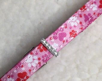 pinkpaws.jpg