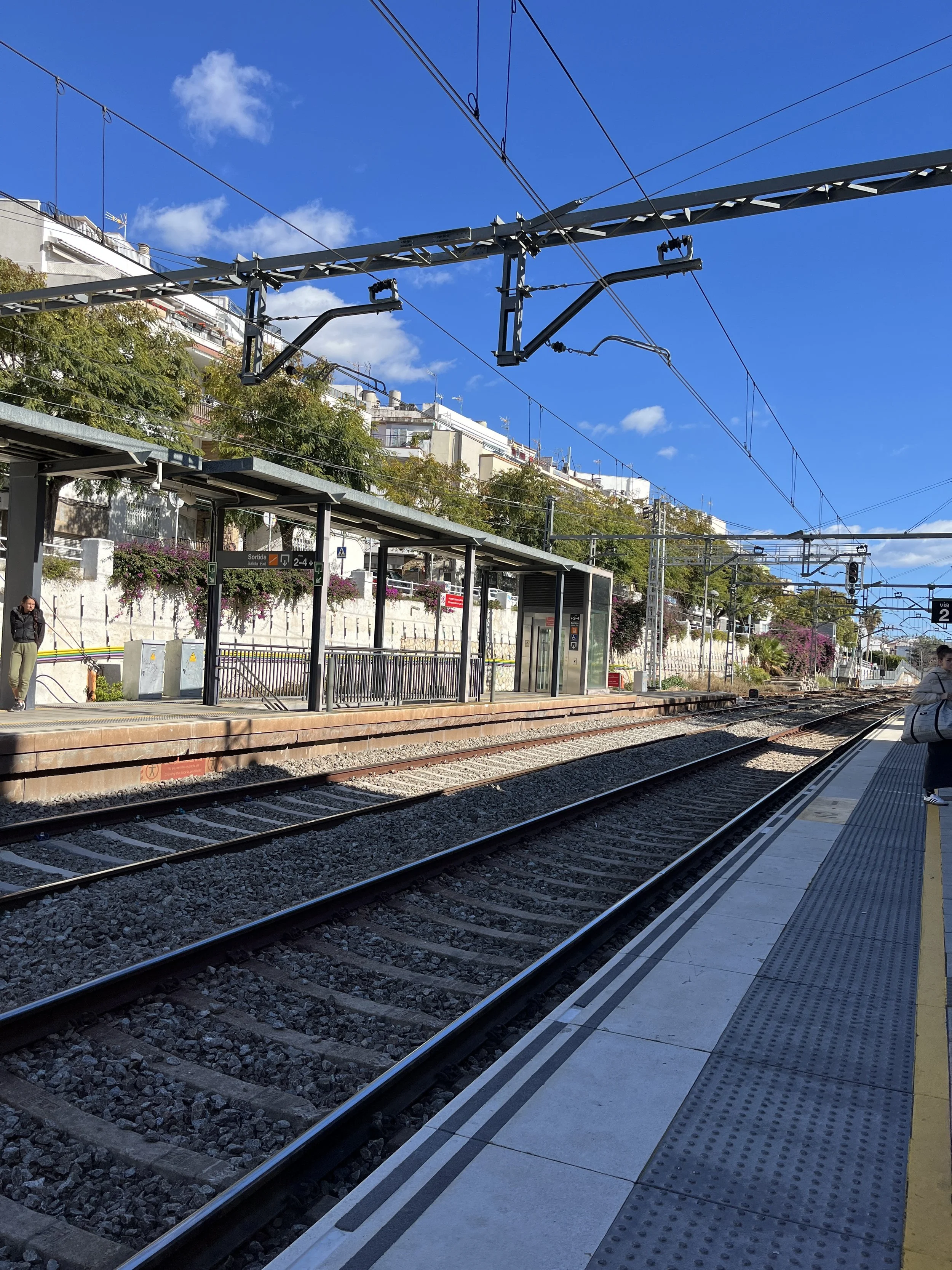 Rail Revival Adventures: Riding the World's Most Scenic Trains with Erika and Joe