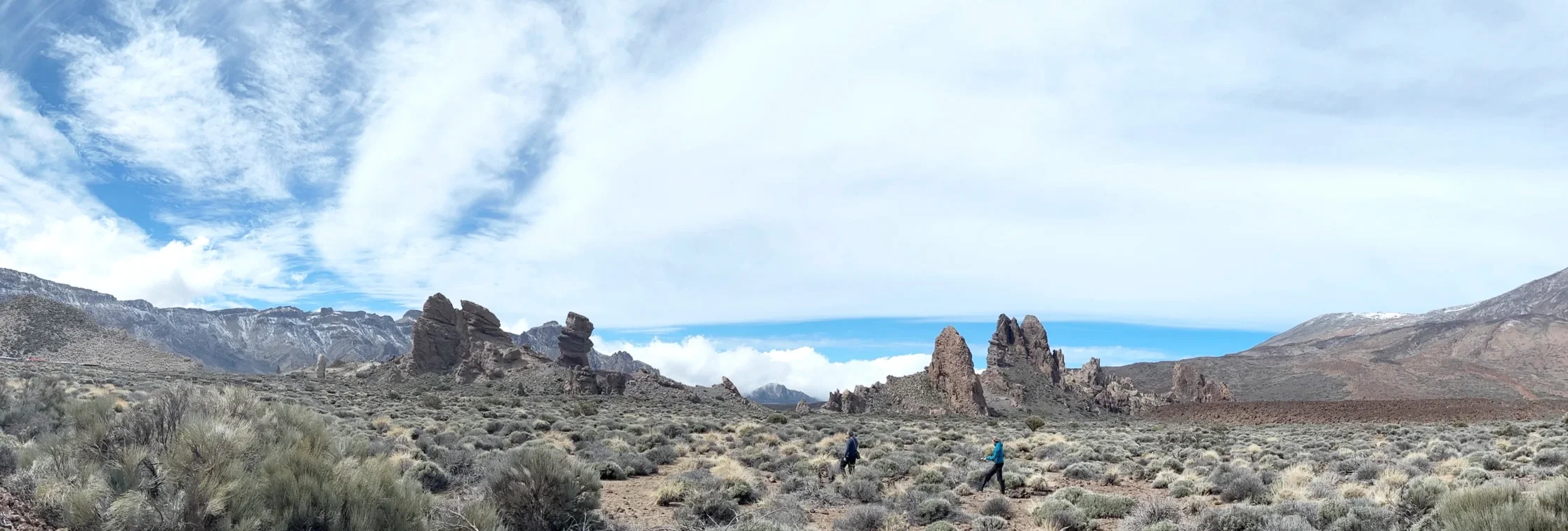 Full List - Capital One Miles Transfer Partners Guide 2026