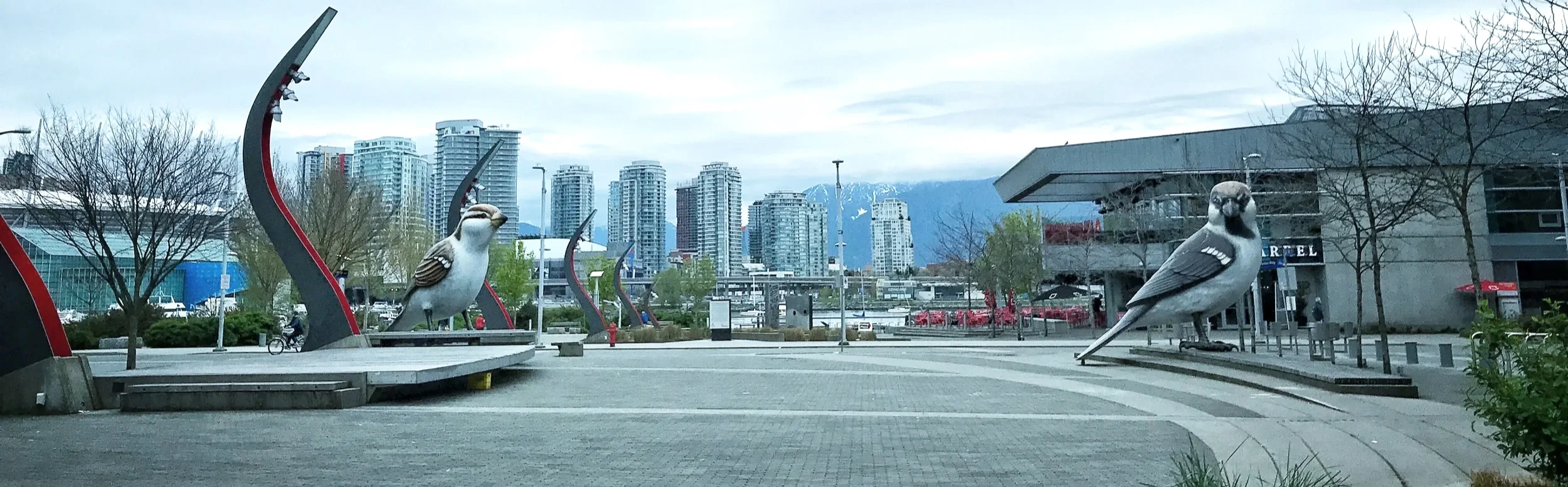 How to Transfer Capital One Miles to Aeroplan