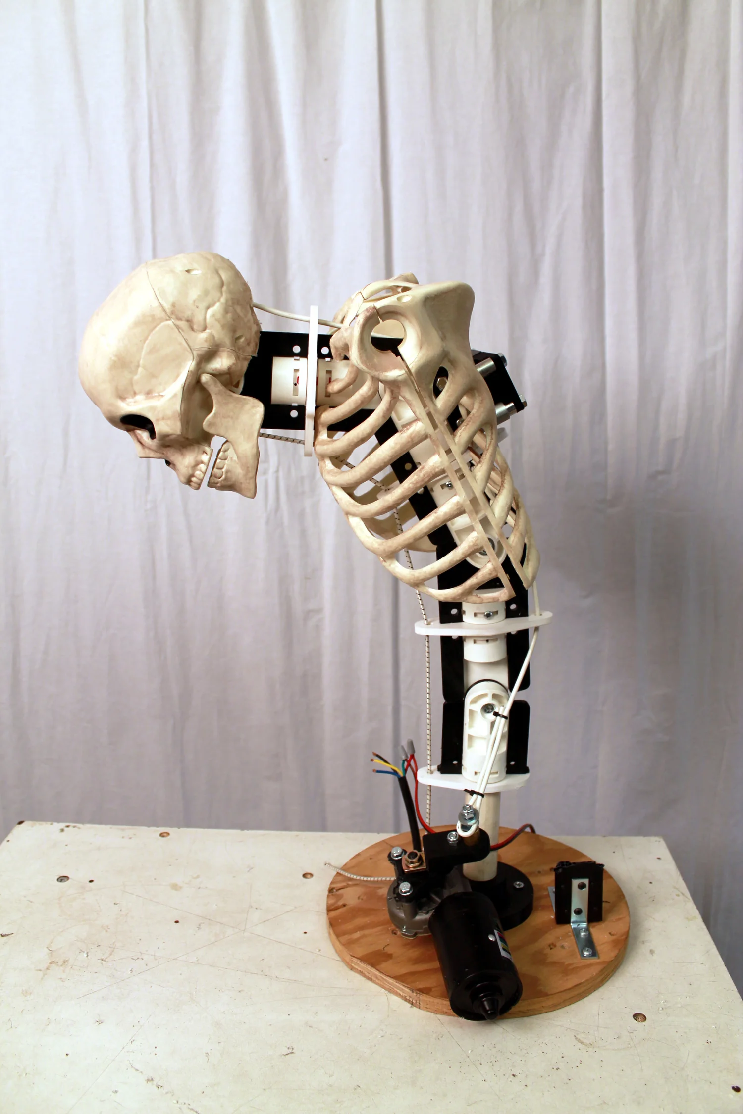 Projects — How To Make Animatronics — Poorman's Guide To Animatronics