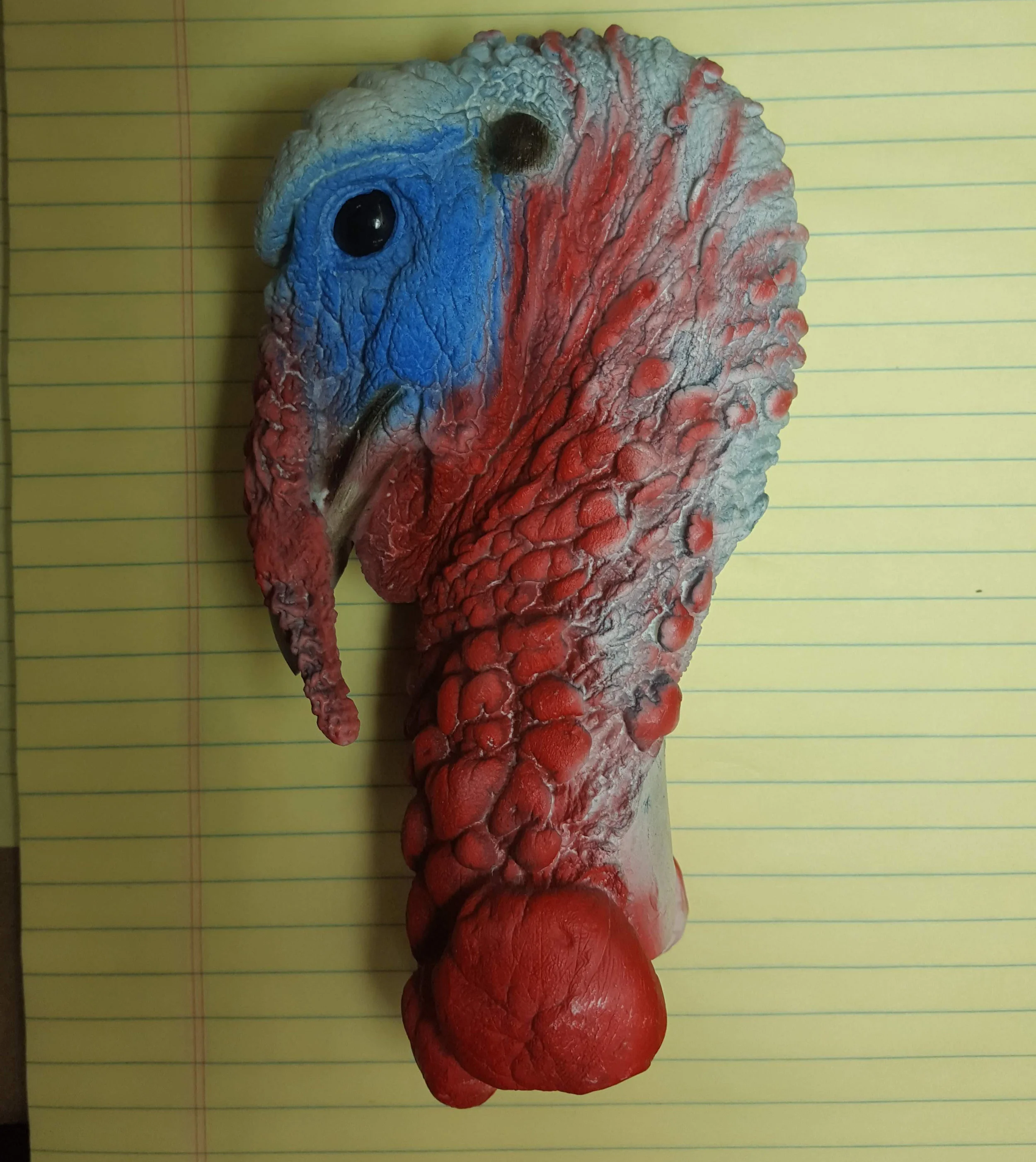 004_Turkey head taxidermy form