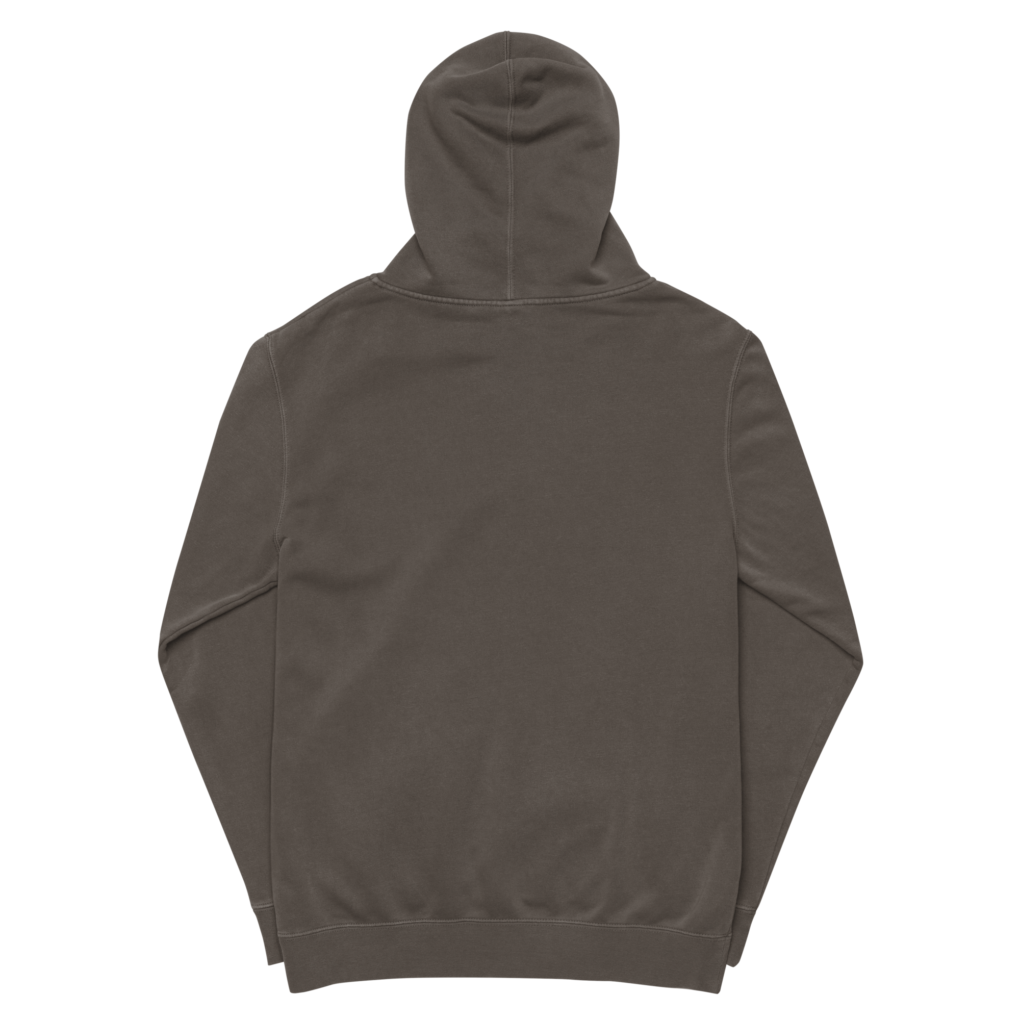 unisex-pigment-dyed-hoodie-pigment-black-back-66bccfefc8945.png