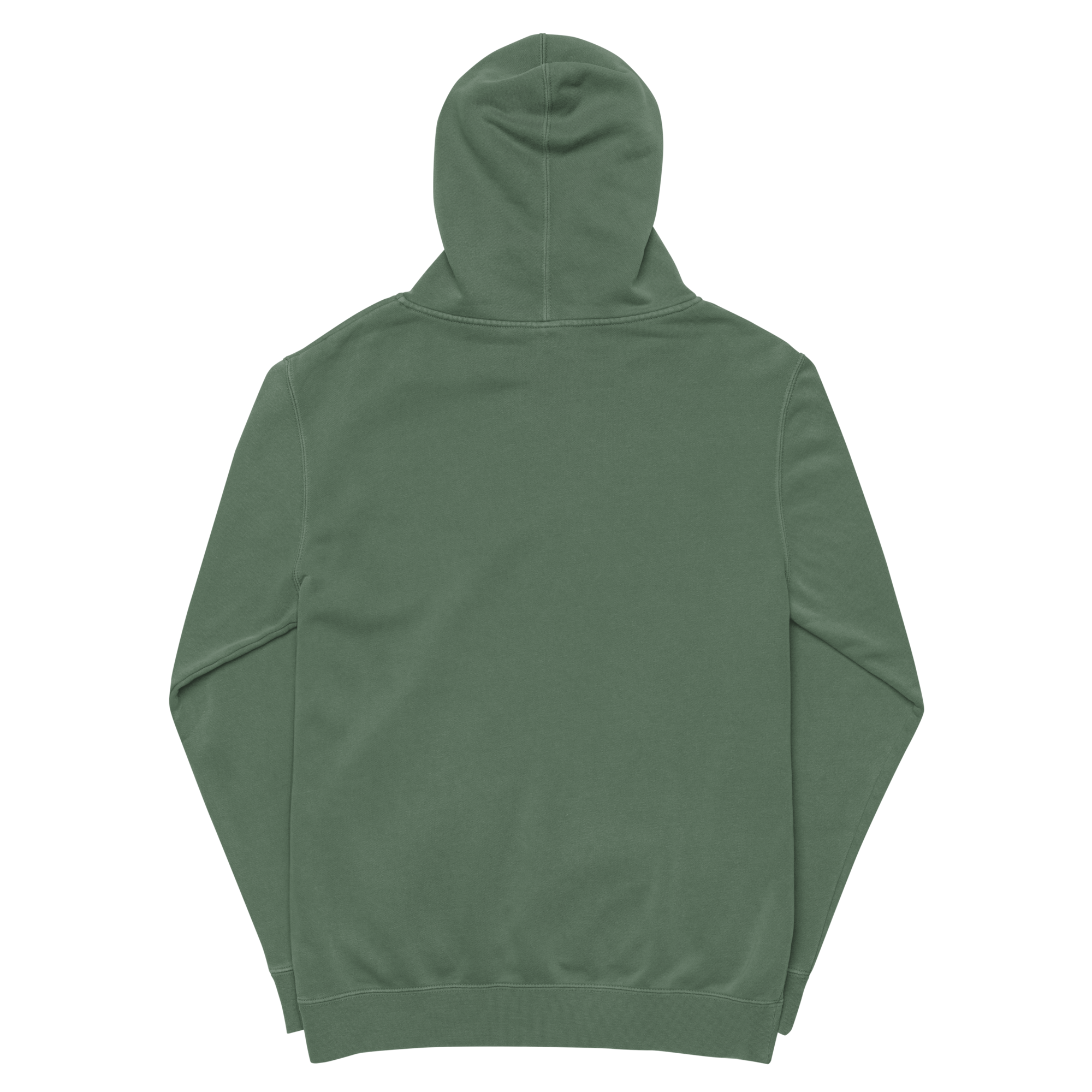 unisex-pigment-dyed-hoodie-pigment-alpine-green-back-6939f3e0703c0.png