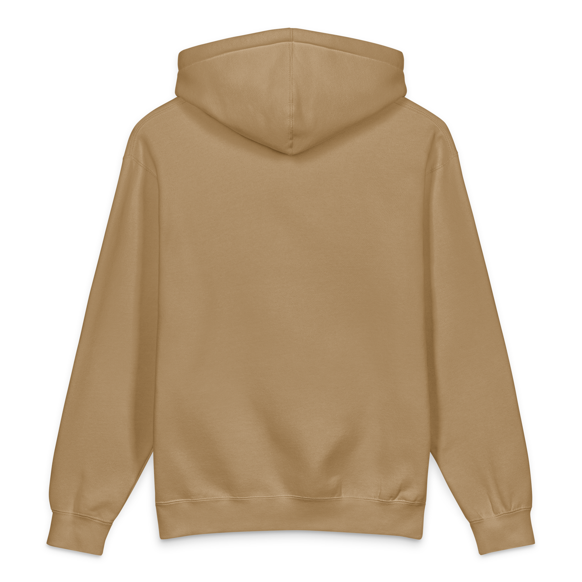 unisex-heavyweight-hooded-sweatshirt-sandstone-back-6a47c5767bd14.png