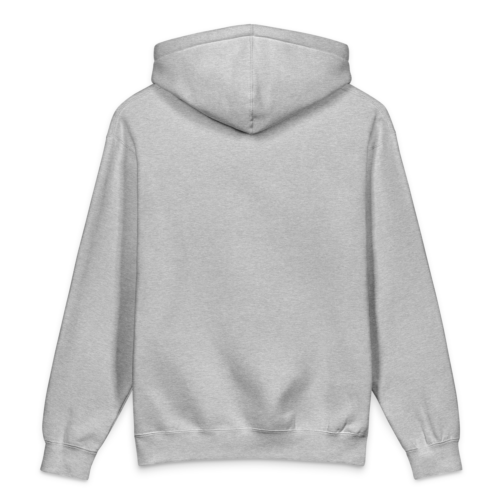 unisex-heavyweight-hooded-sweatshirt-grey-heather-back-6a47c5767c3e3.png