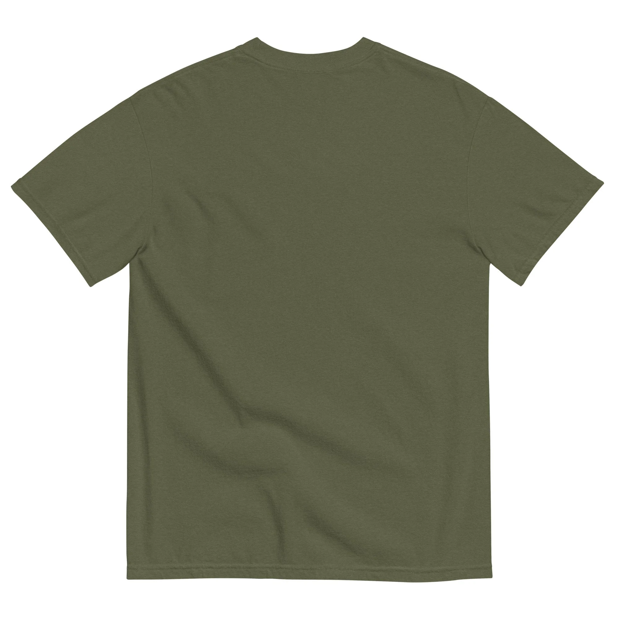 unisex-garment-dyed-heavyweight-t-shirt-hemp-back-6a47c5f230994.jpg