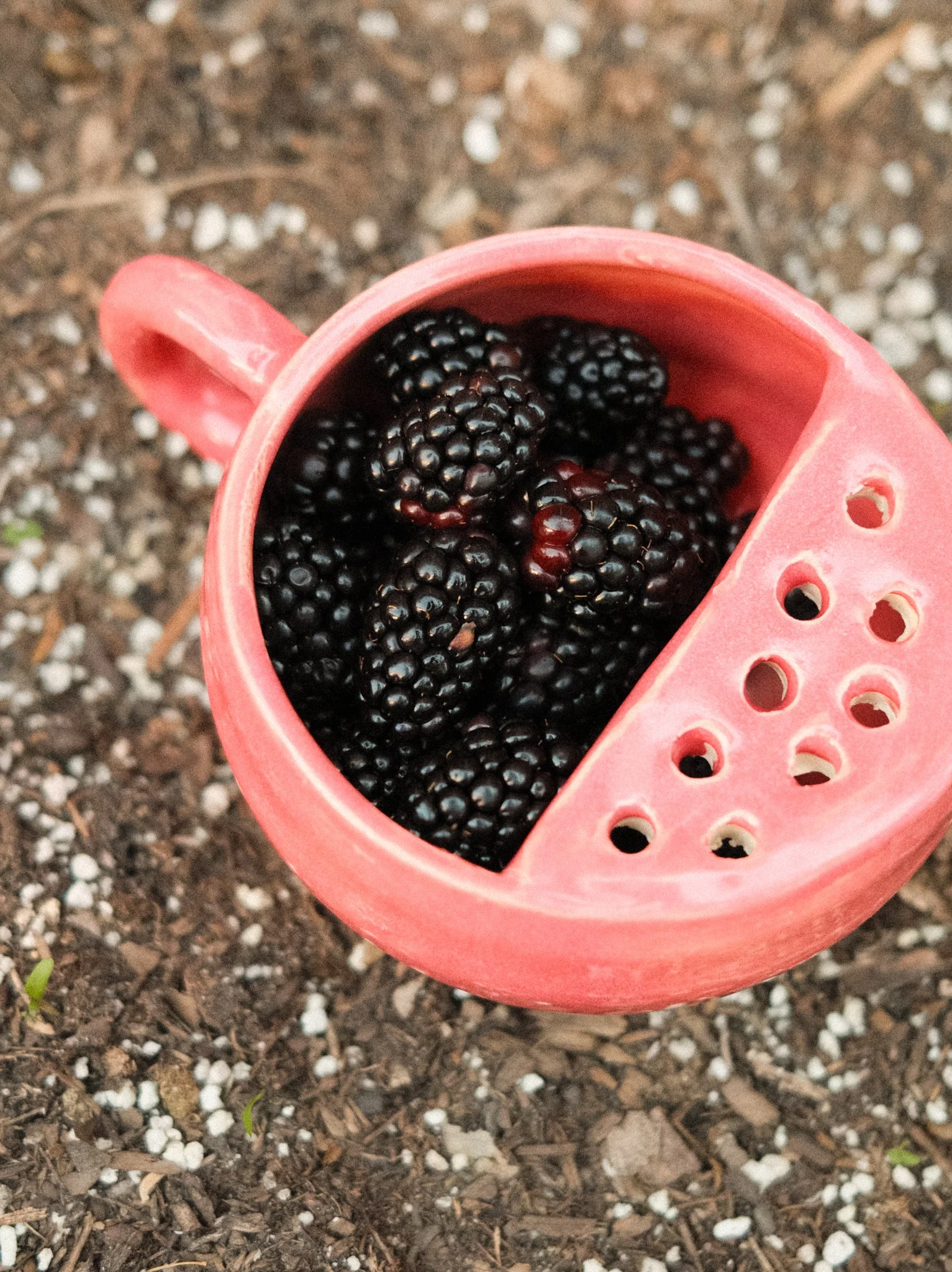 *Limited Edition* Valentine's Day Berry Strainers