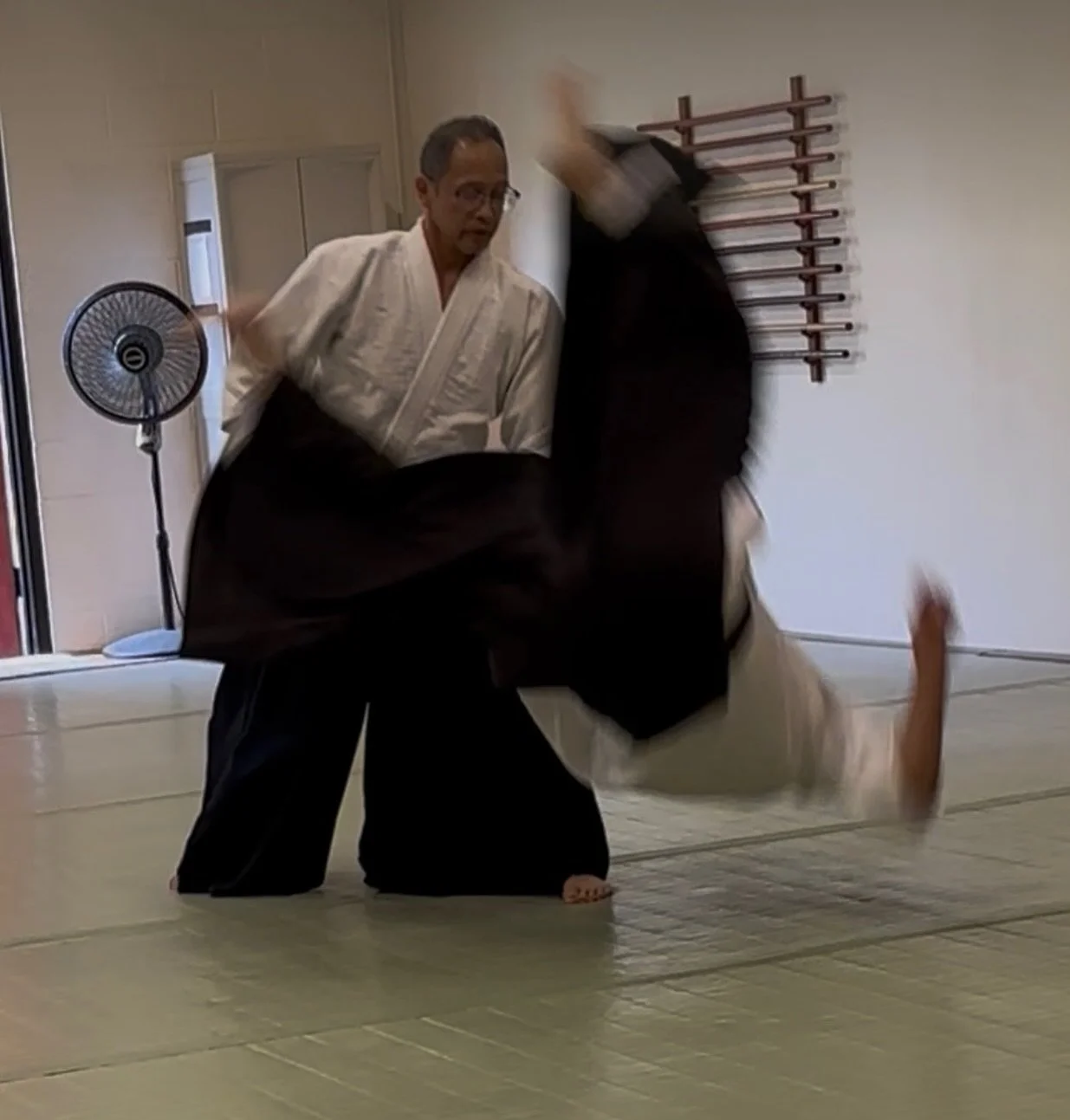 Cervantes Sensei turning the world upside down #Aikido #Kenosha