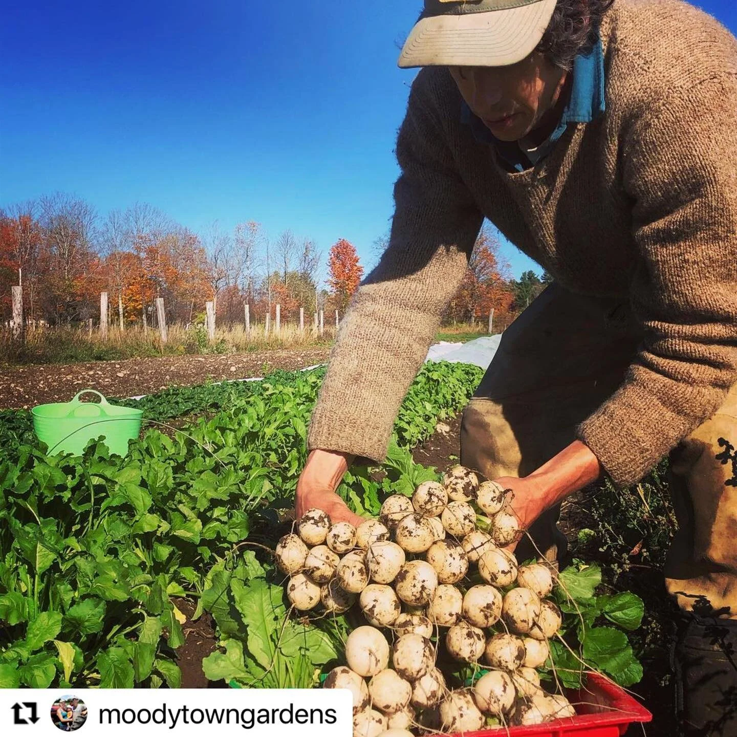 Skowhegan Farmers' Market