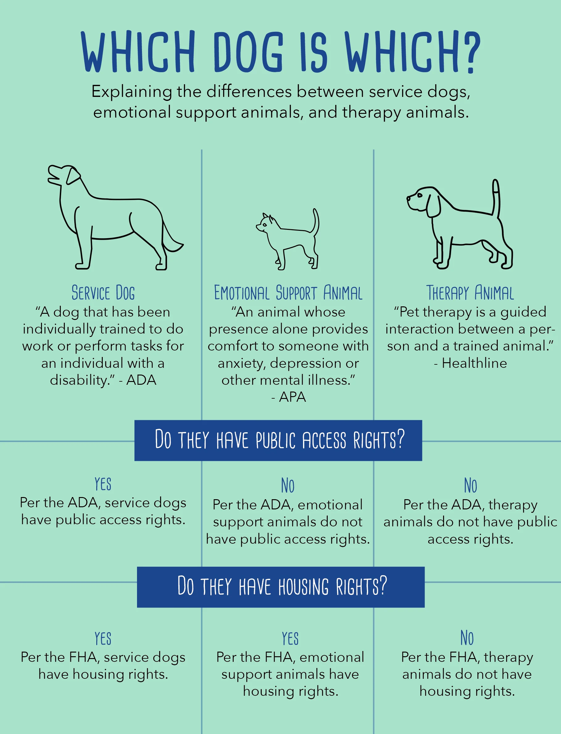 emotional support for anxiety