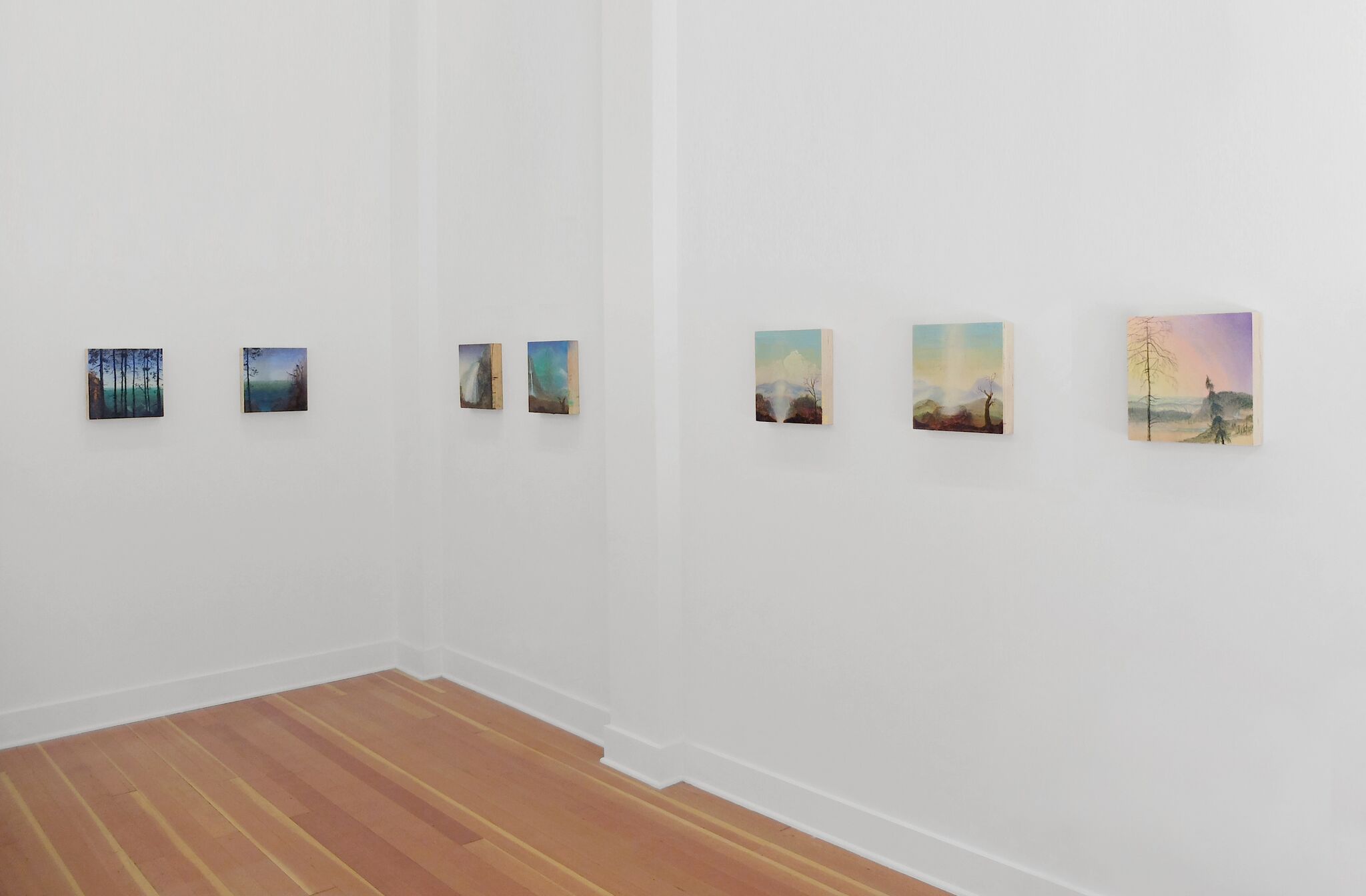 Installation Joan Nelson Joseph Yoakum at Adams and Ollman