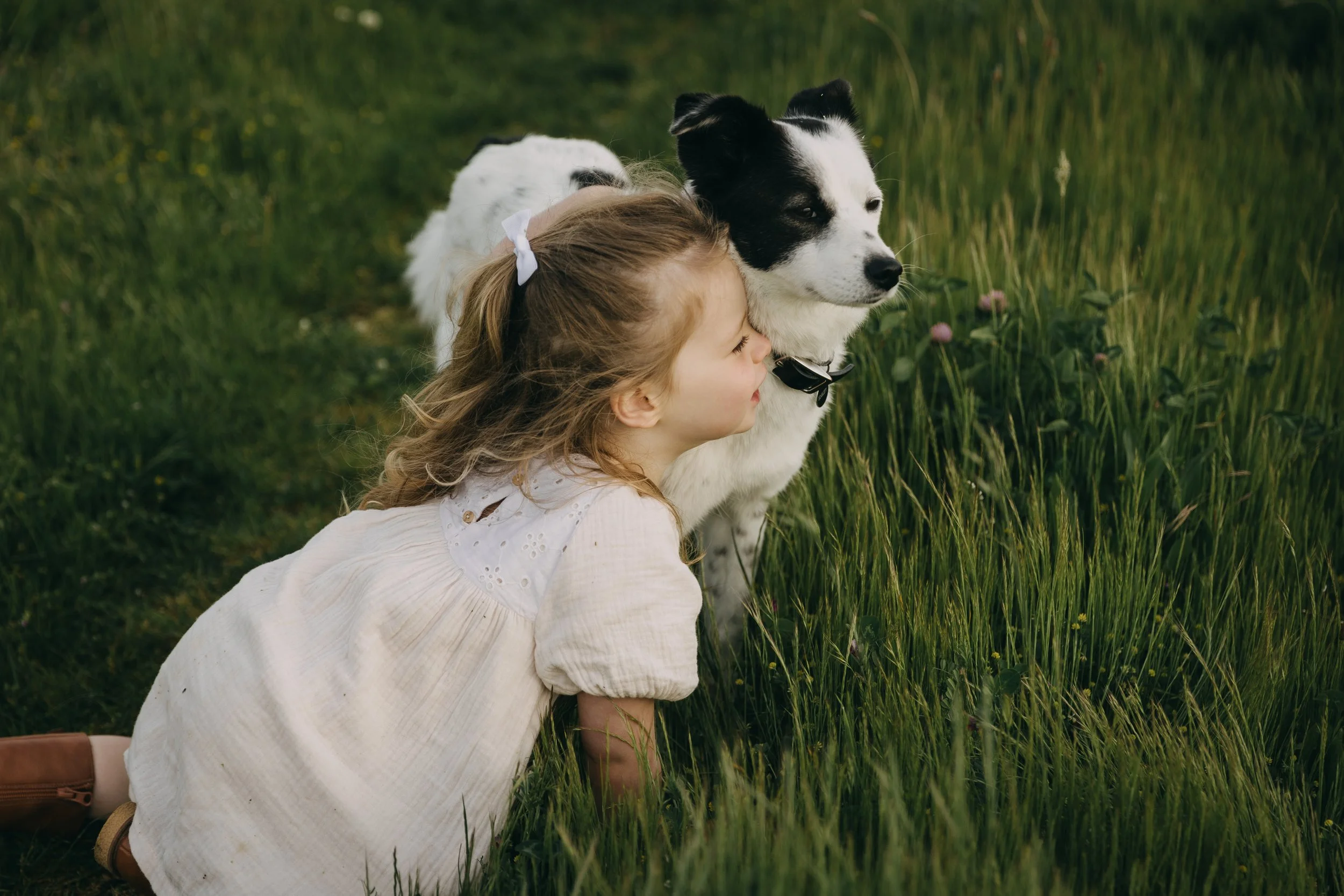 Why you should bring your dog to your family photo session.