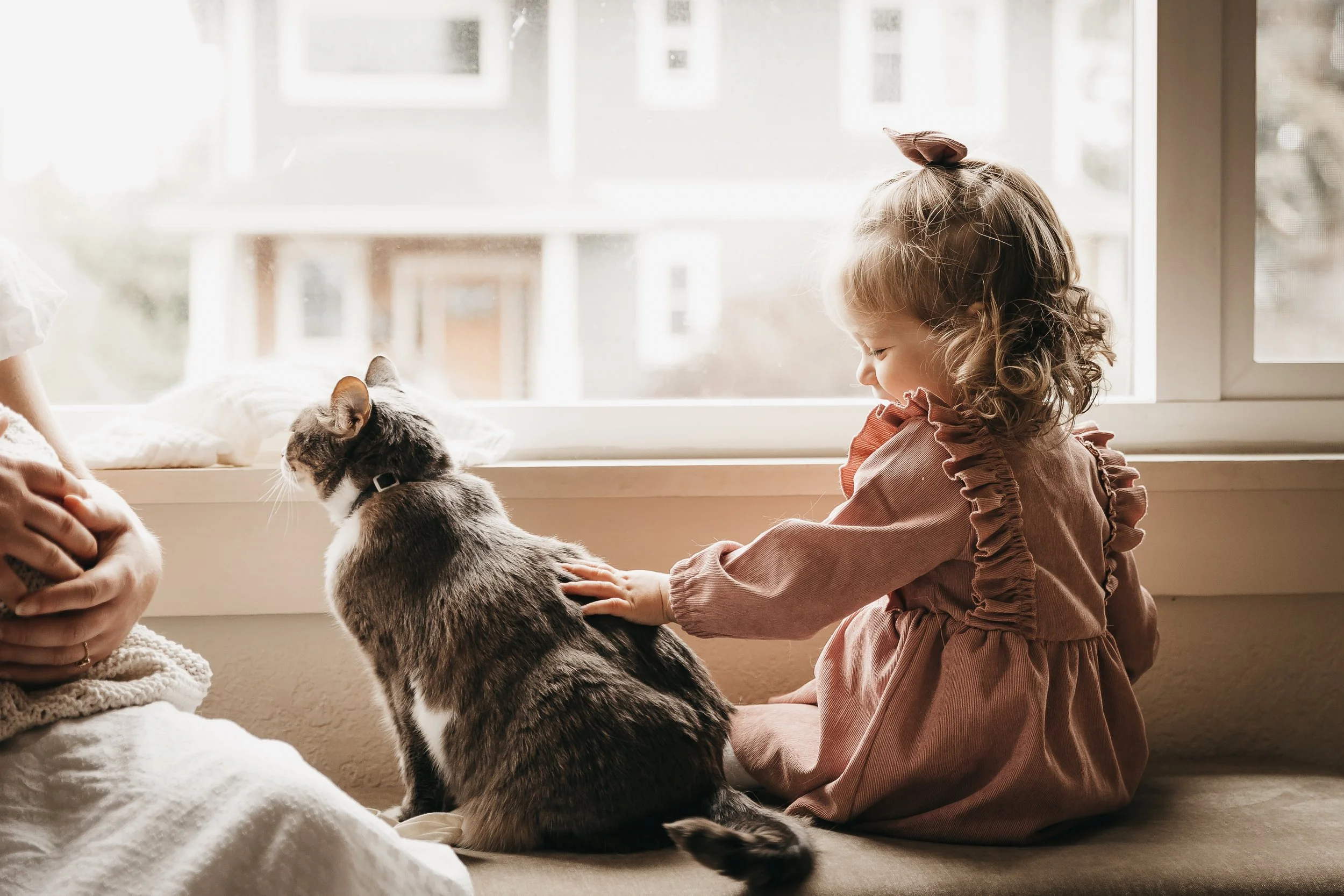 in home family photo session girl with cat