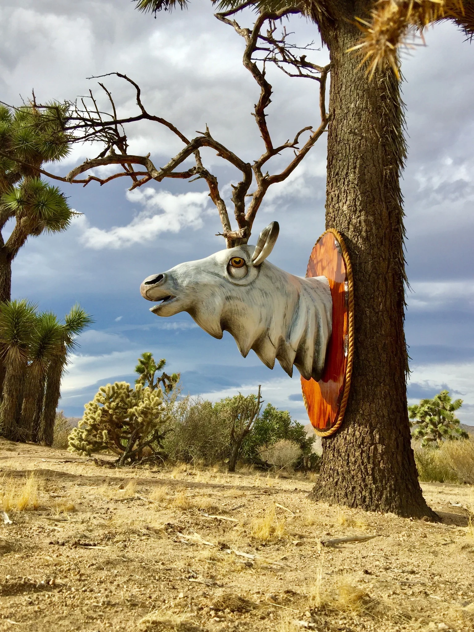 Elk Head.jpg