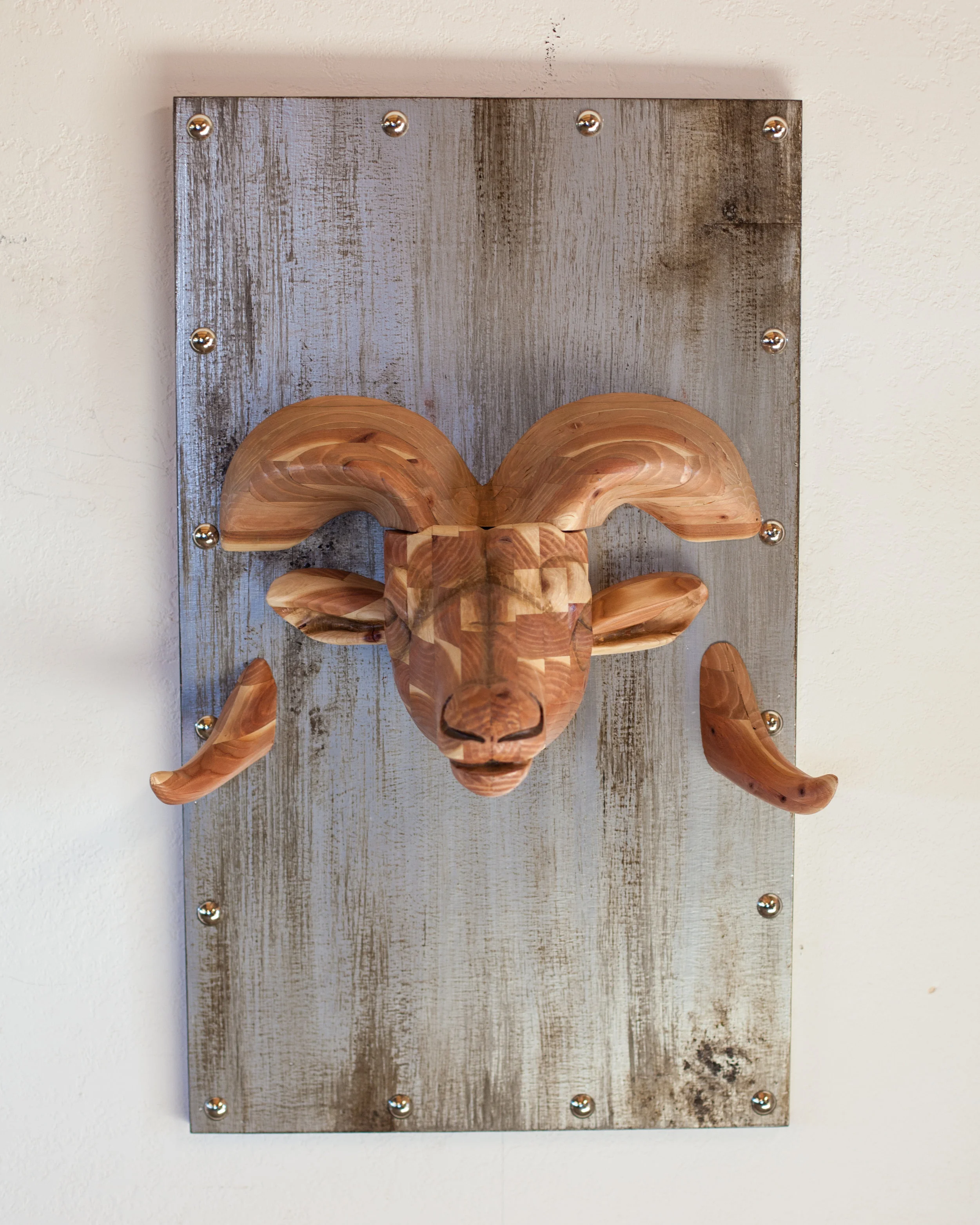 bullhead-1.jpg