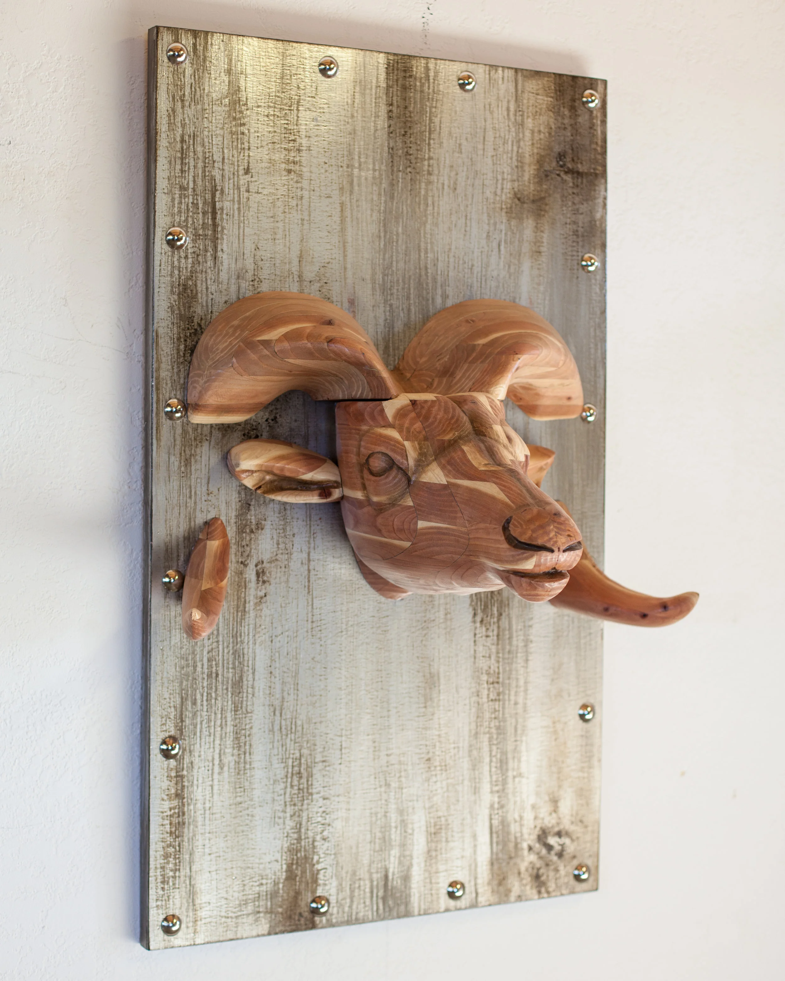 bullhead-2.jpg