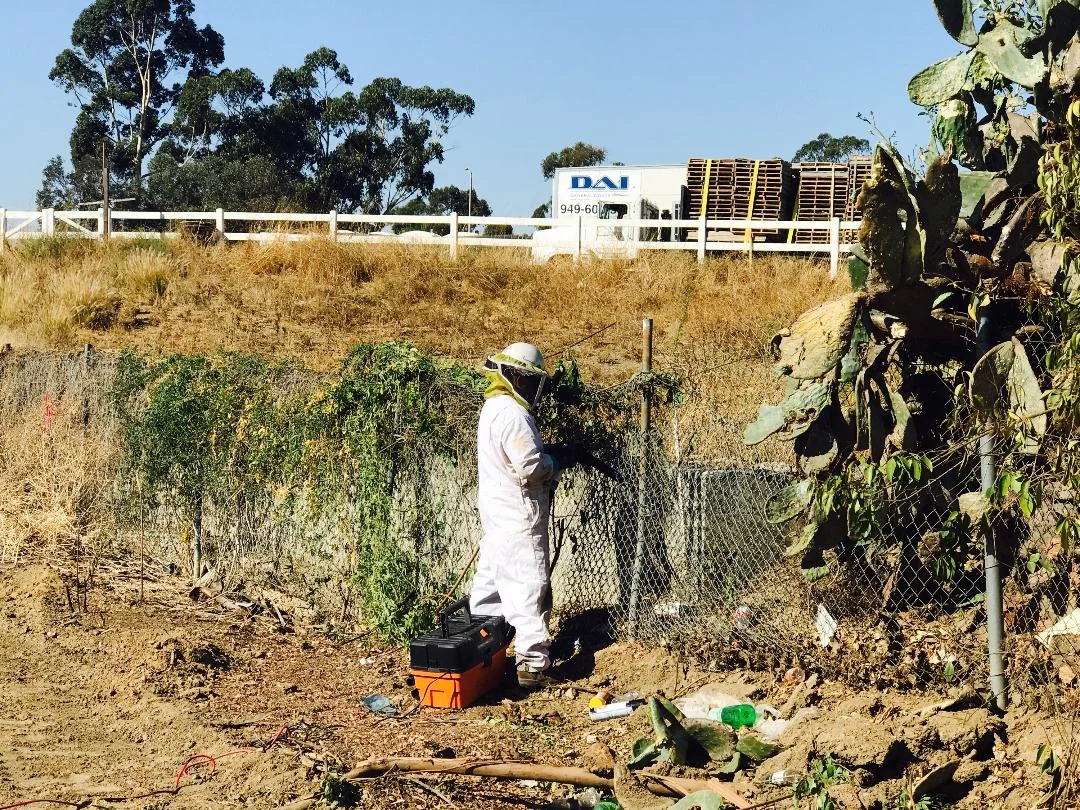 VECTOR CONTROL